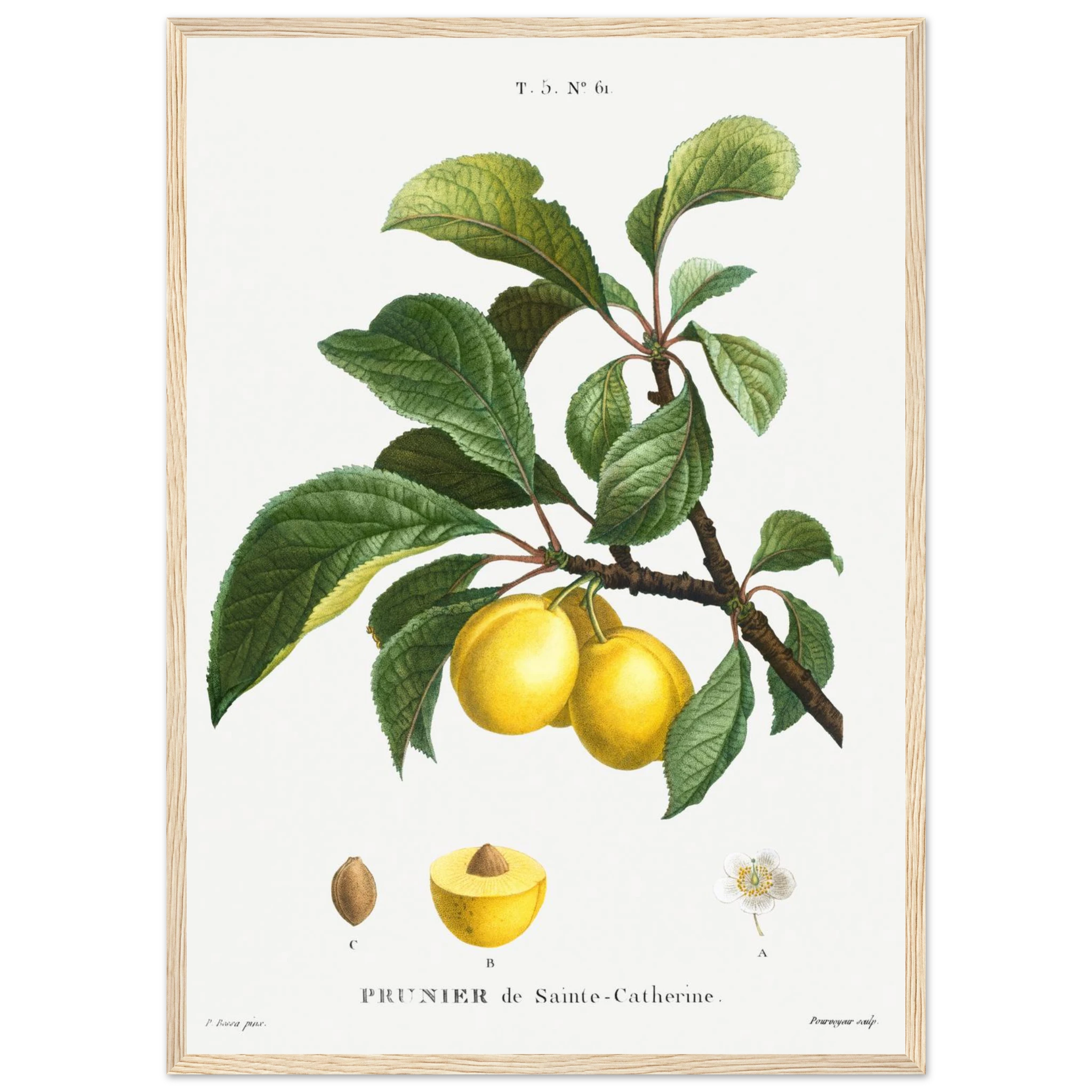 8c62a4f7-c69a-40fa-b454-bd6497ae0457