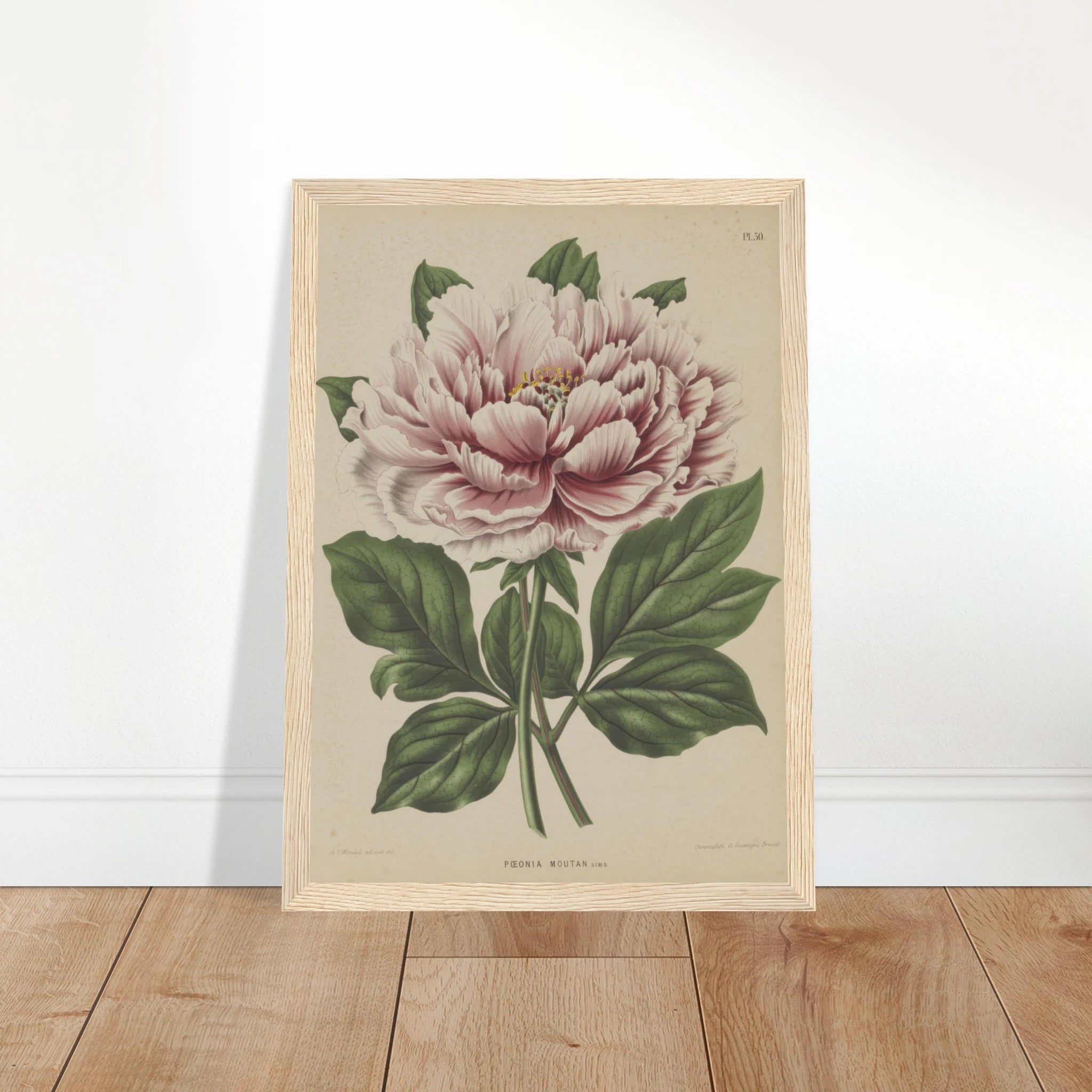 8c804f7f-aea9-4d59-97a2-0f65c1c96fde