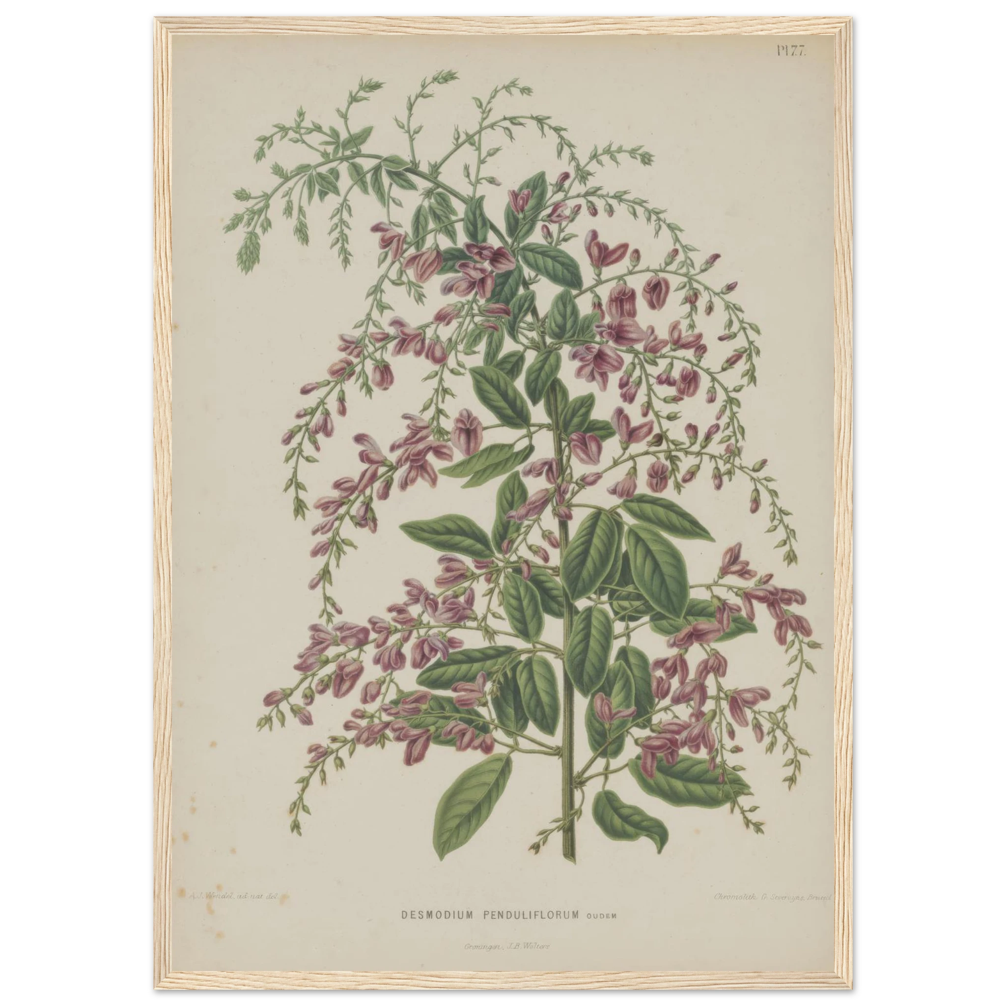 8c8a84d4-b2e5-4d79-ab53-d50abc9e0ec5