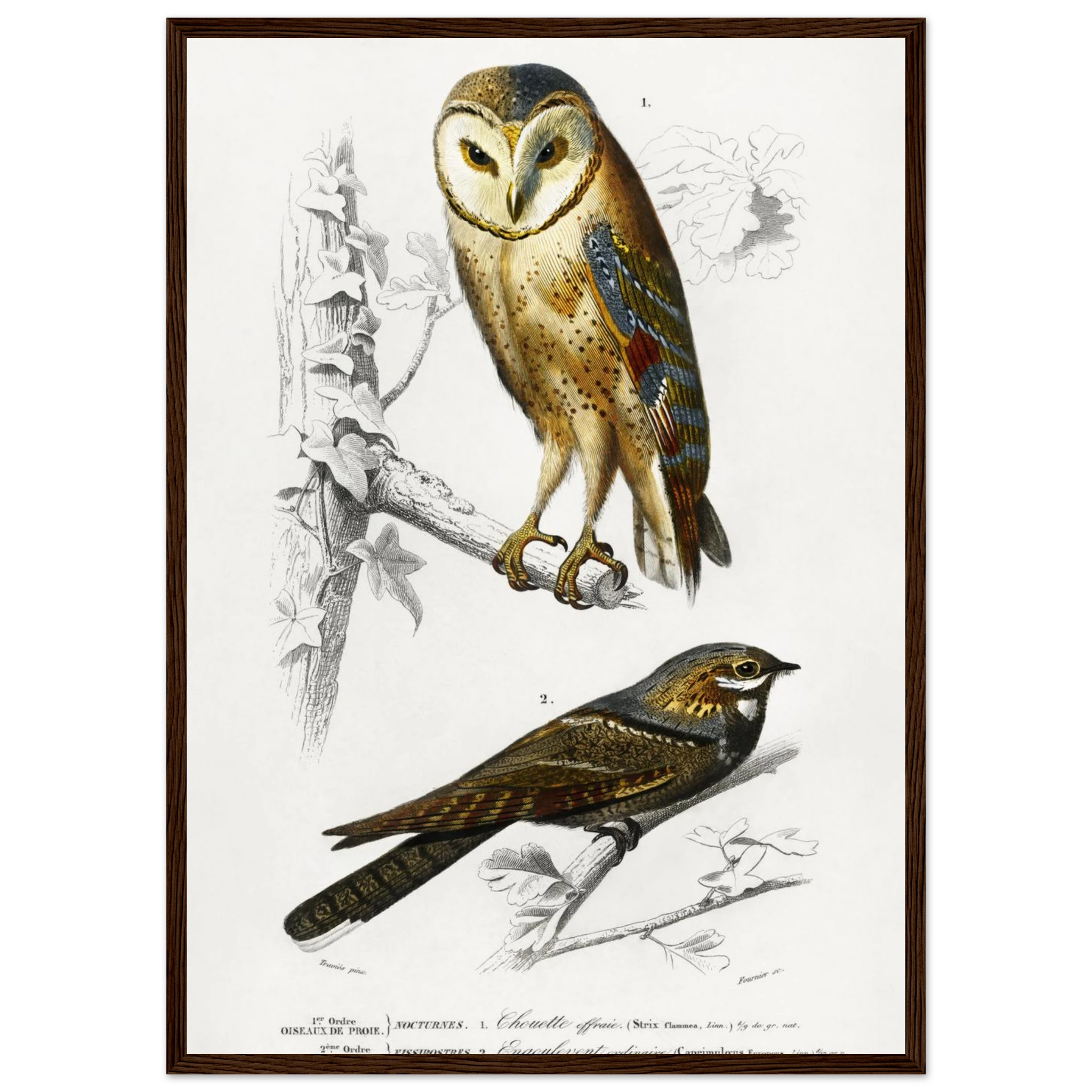 8cf33ea7-c5d6-4a72-a419-97d8ef9d349e