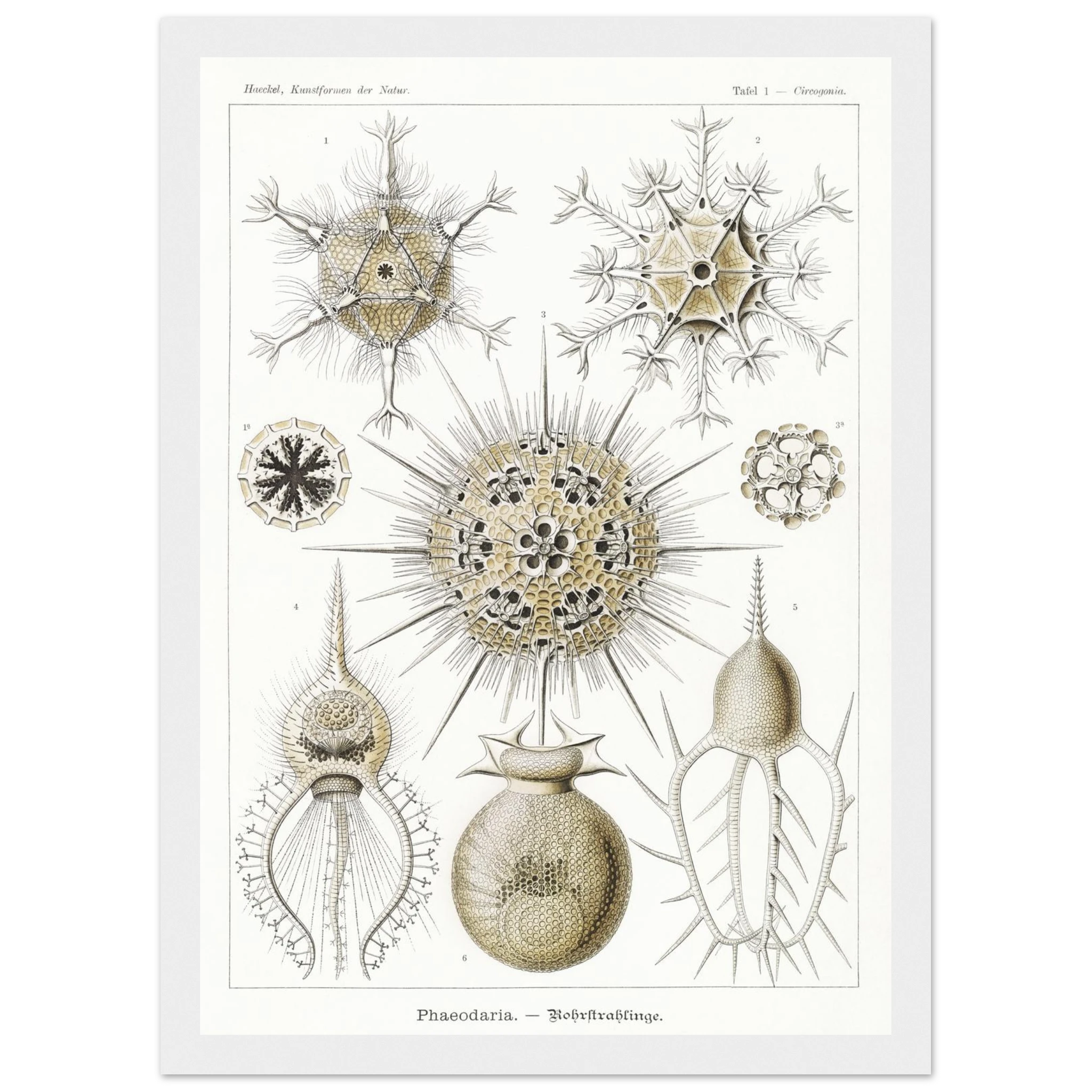 8d084e0f-866e-4b96-a39b-f394d6fa1d7d