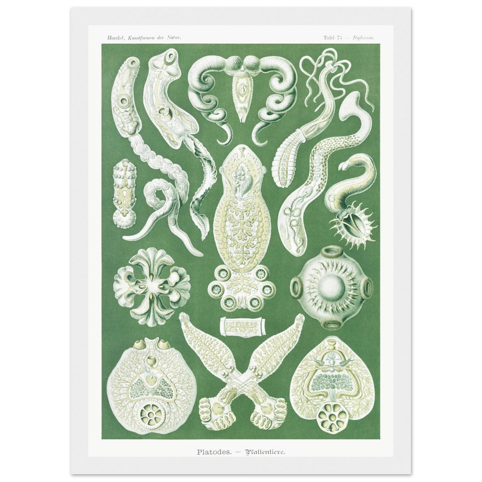 8d1166e4-3cb1-4d30-aa11-1c02040752e4