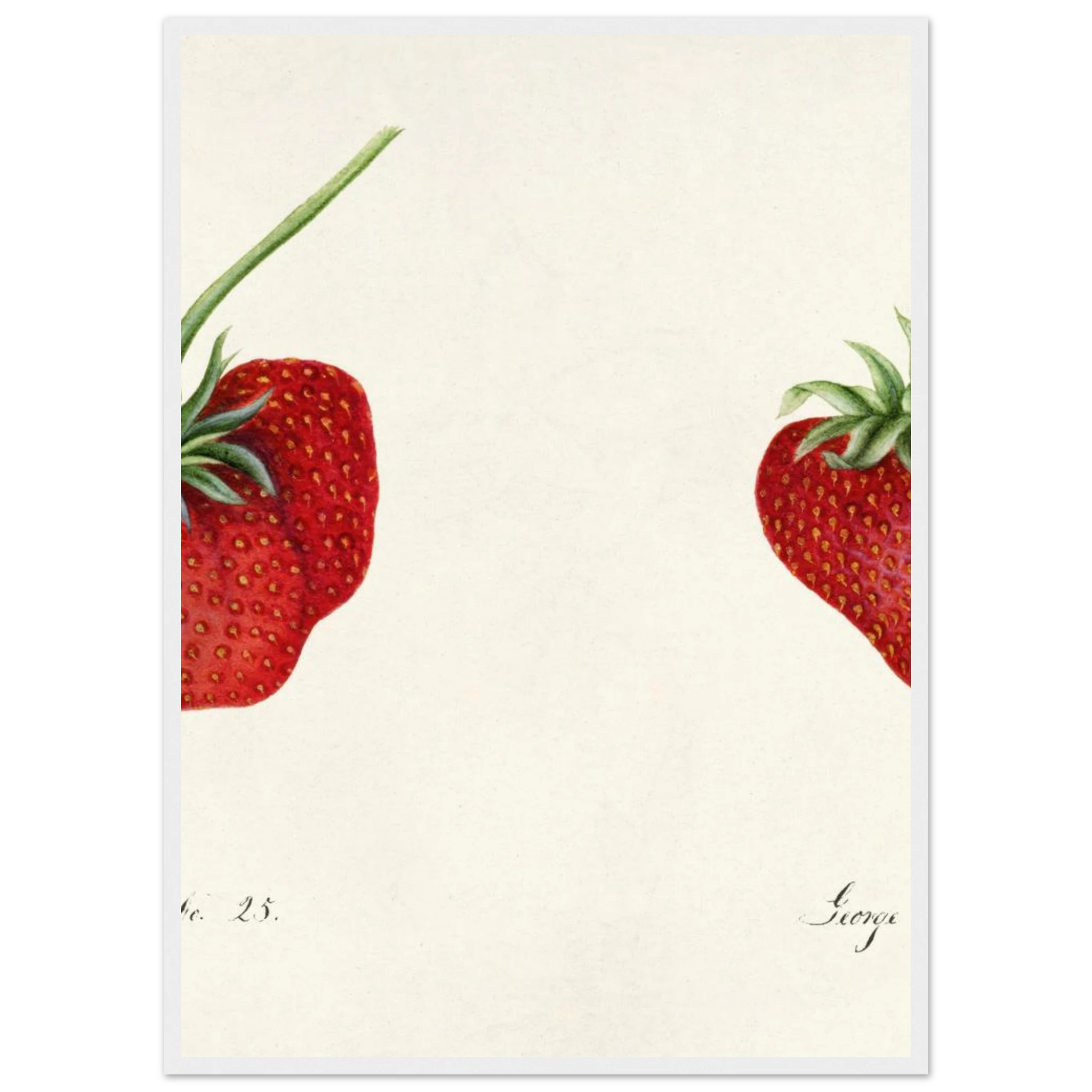 8d131e16-dcb3-465c-8b1b-f9a059ca8527