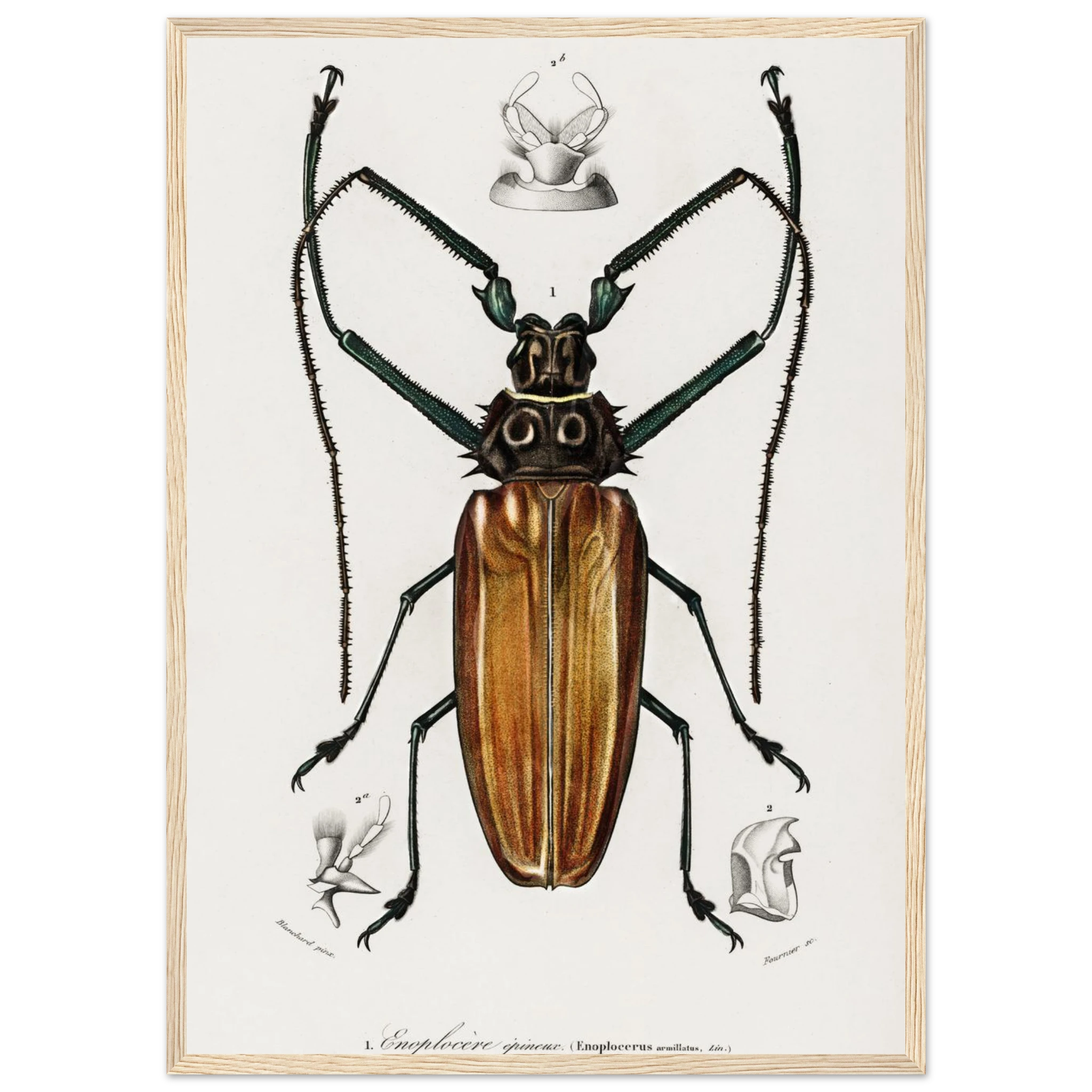 8d46d87c-b284-4541-878d-b7abc992b556