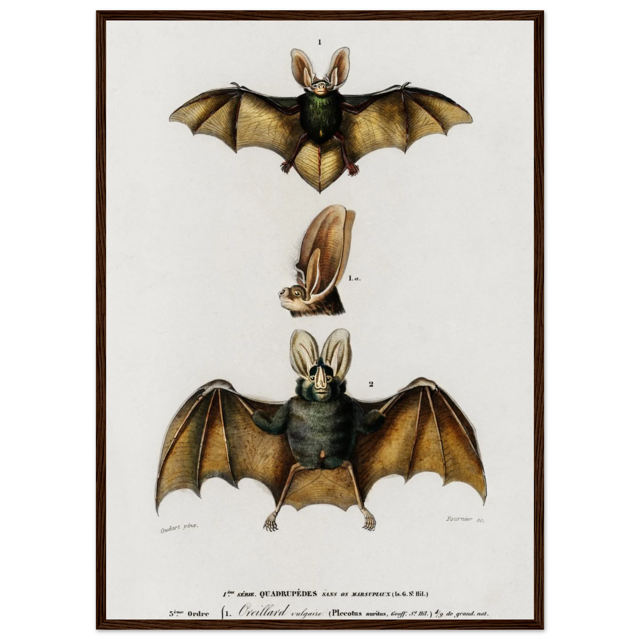 8d5ac999-f56e-4e92-8d3d-1fe955f43a29