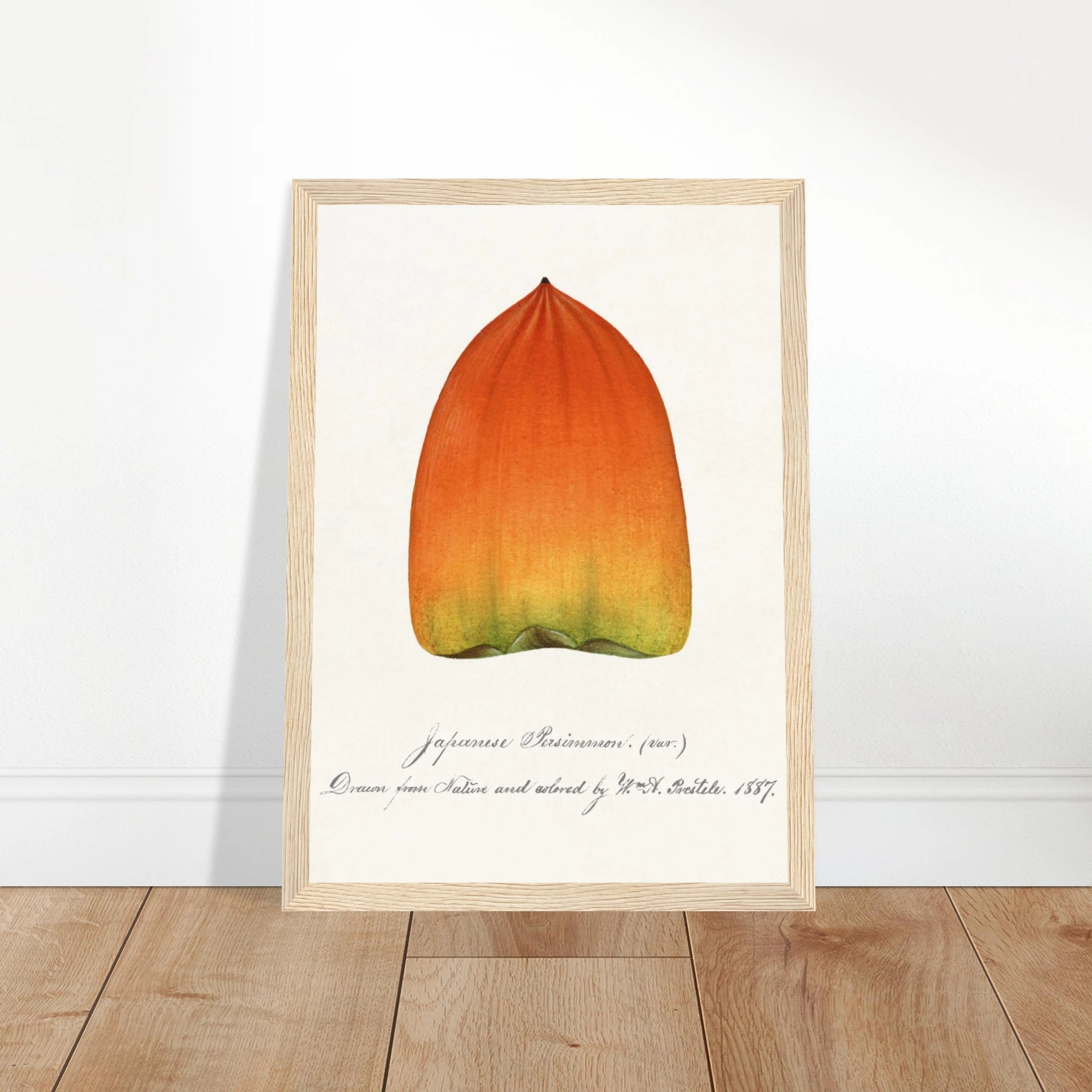 8d616b13-e4fd-4317-b54c-93e49103adc2