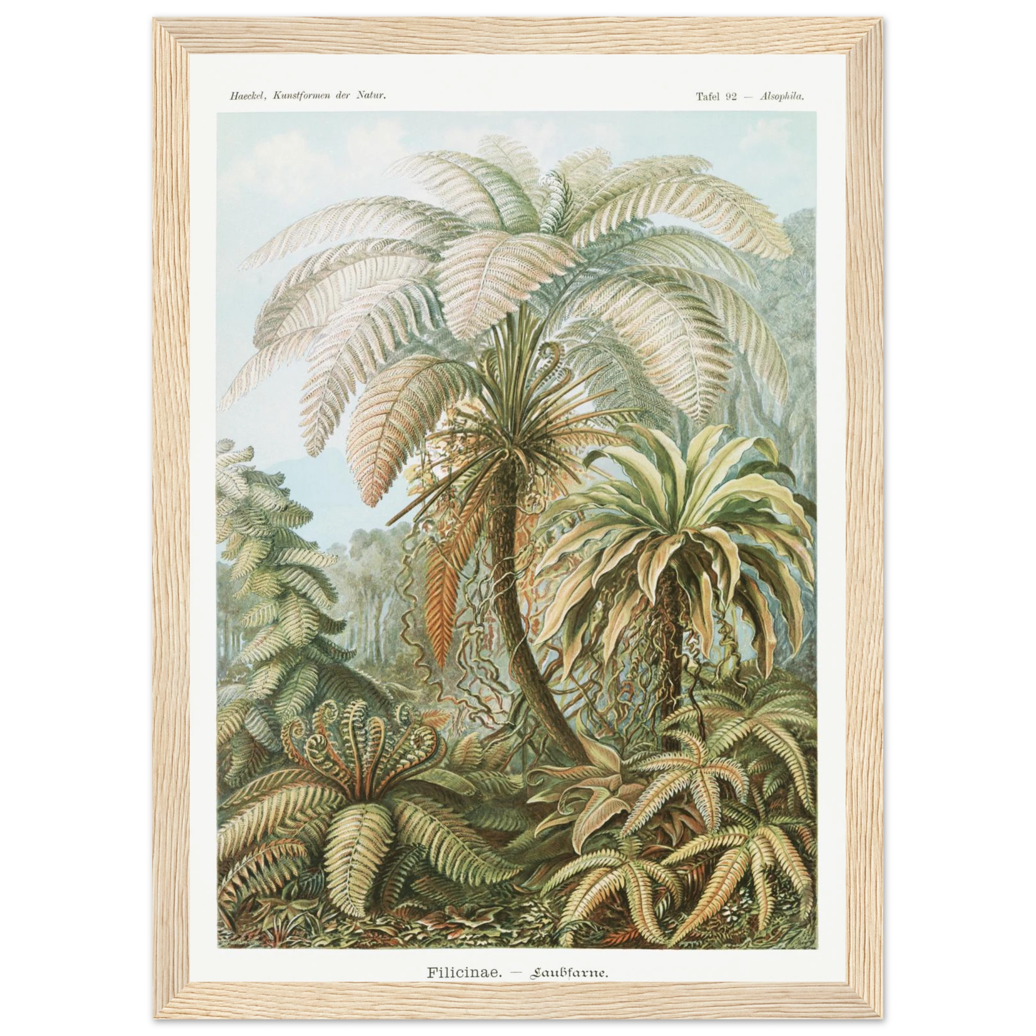 8d82fe5e-6c67-4596-8c69-56dd90eef37b