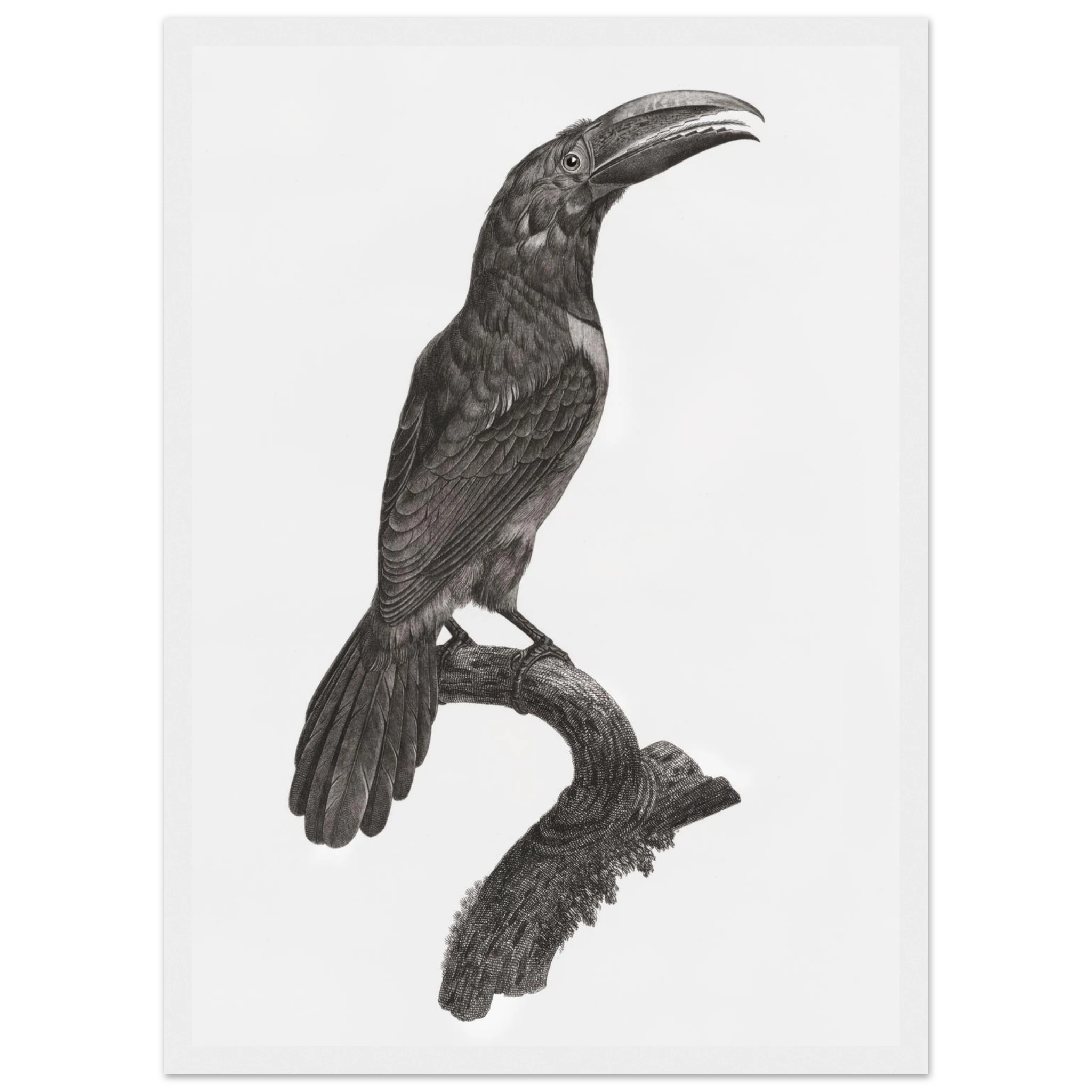 8da07675-0932-4293-9eb4-8795f4b1ea65