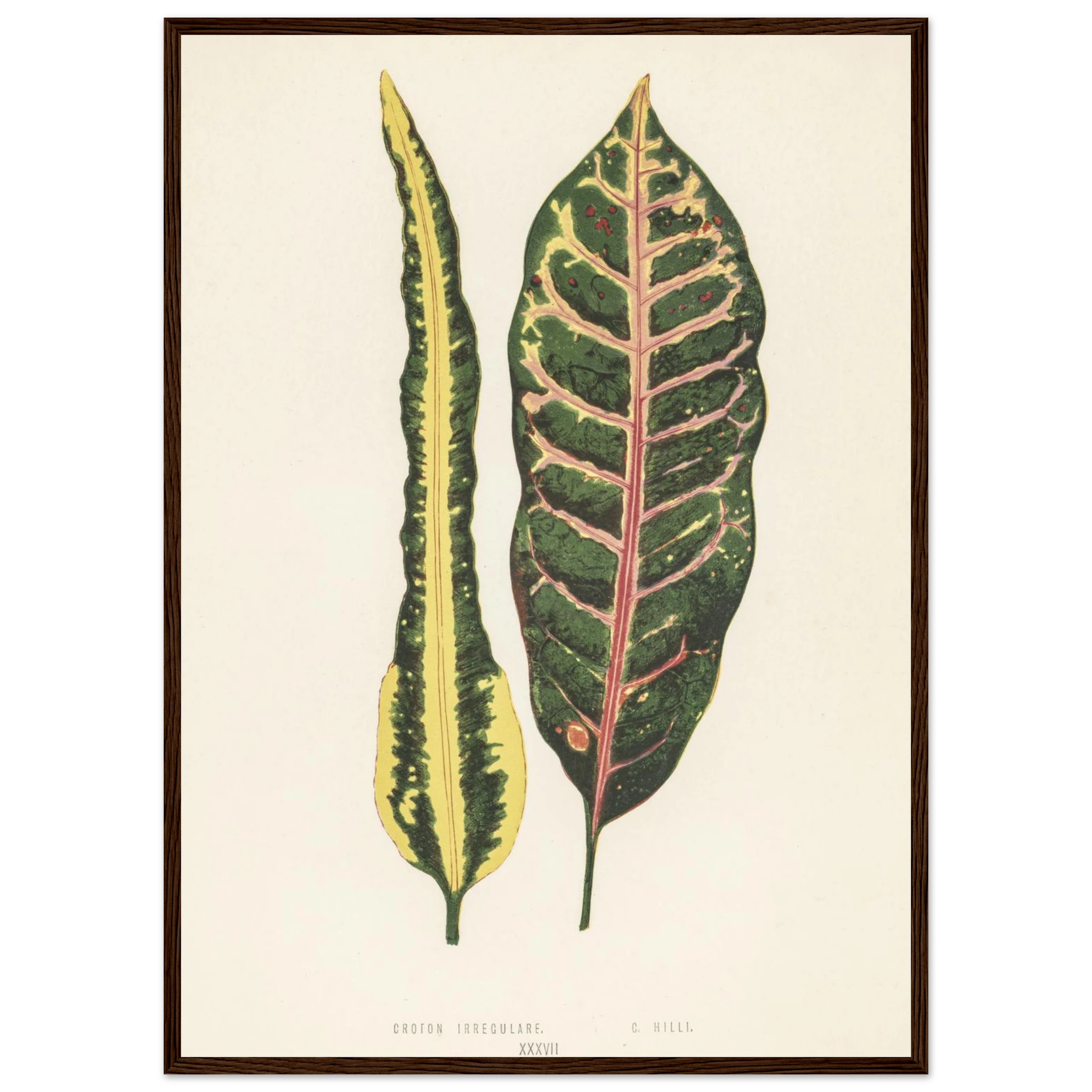 8db605d5-c37a-497e-b25f-998b75686c35