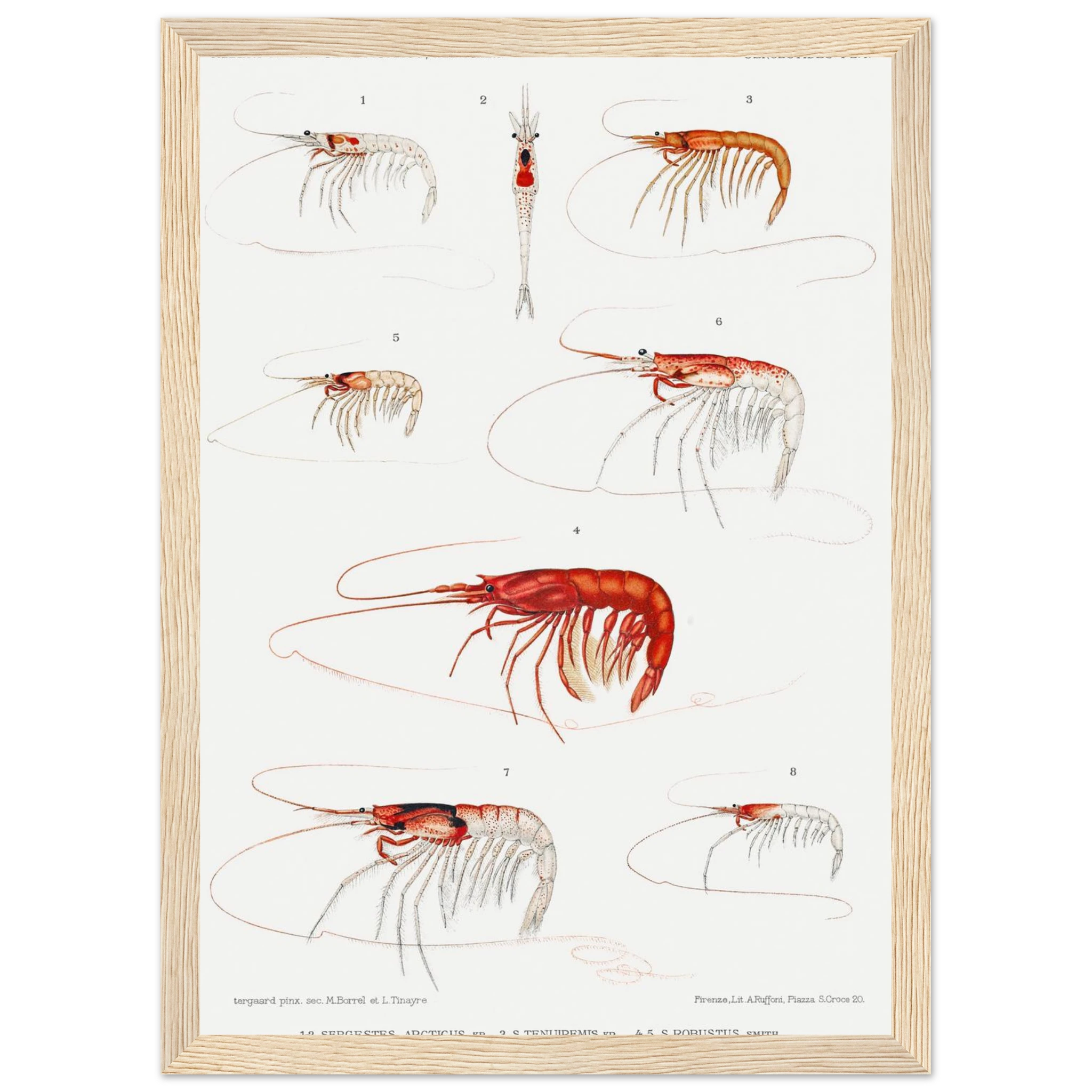 8dda82b3-0a73-4e06-bd8a-3c44ffe626ad