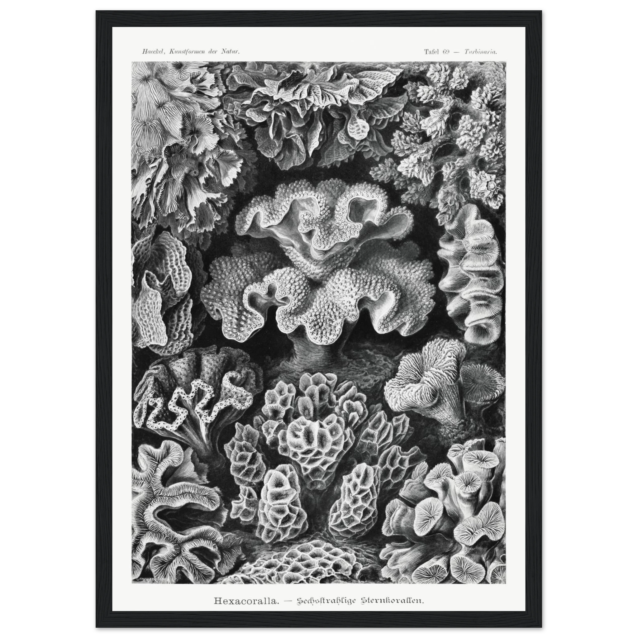 8e3e4a68-ae23-4a13-b43b-2b7444645a75