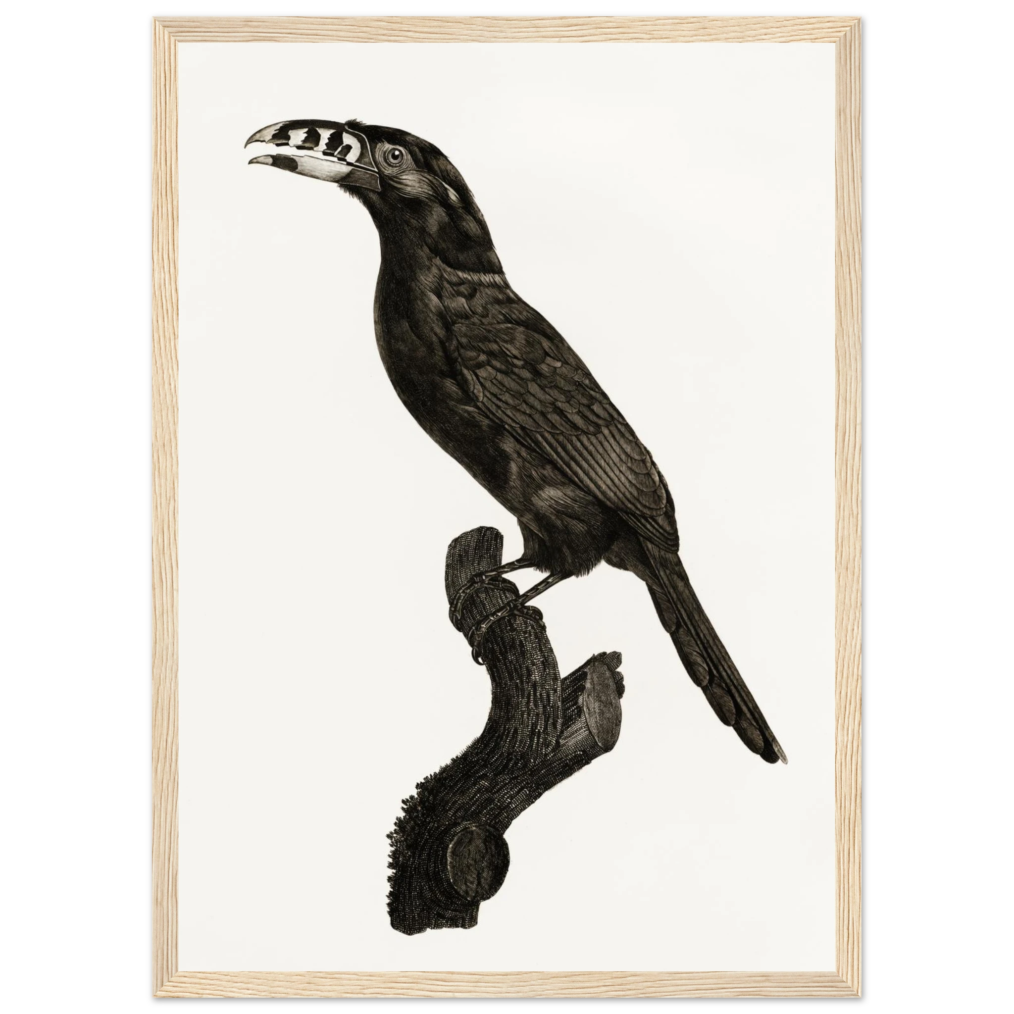 8e4ecd86-929c-4651-80ee-cf0cd4c05bce