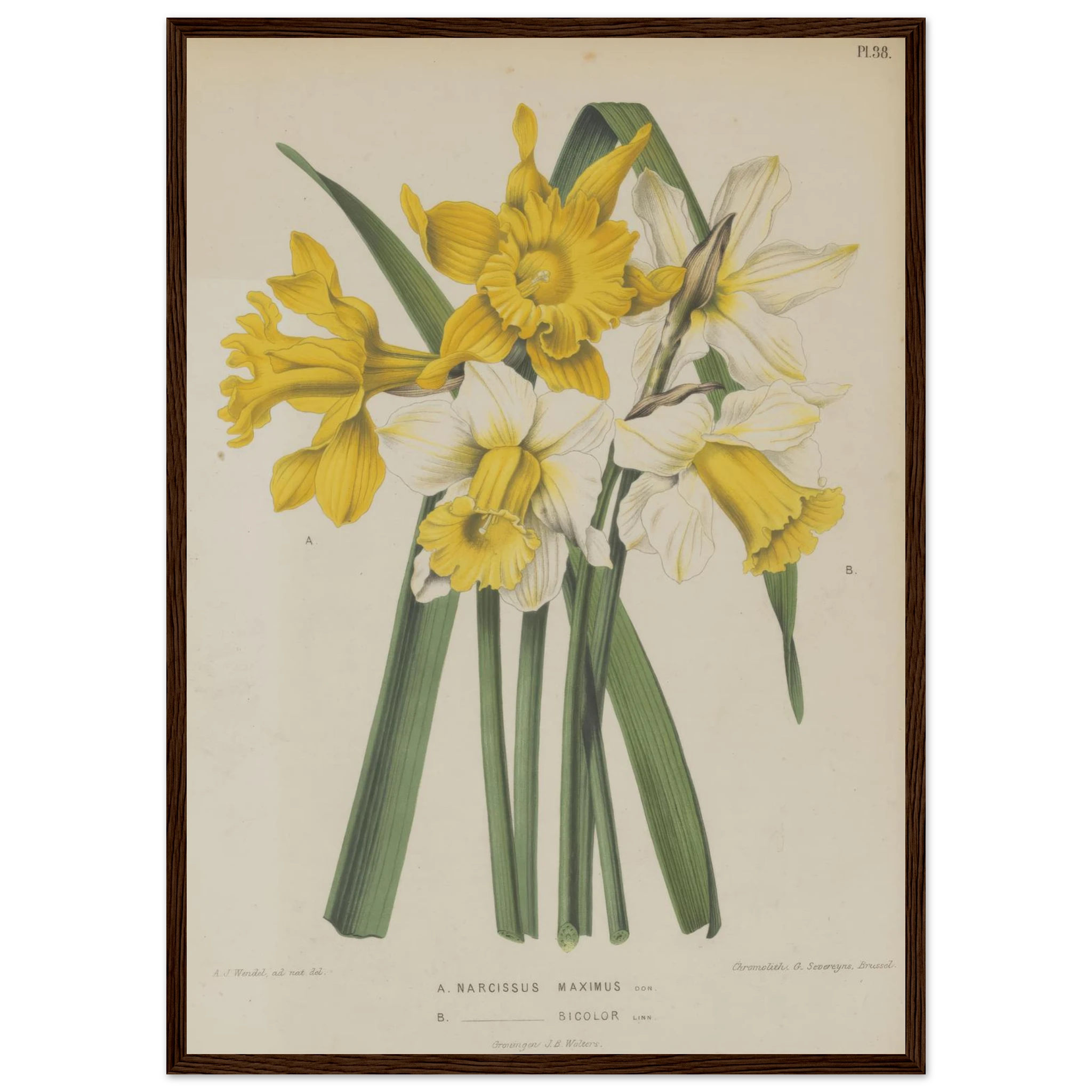 8ec69512-ce29-4691-9fa6-ffb220fb0ccc