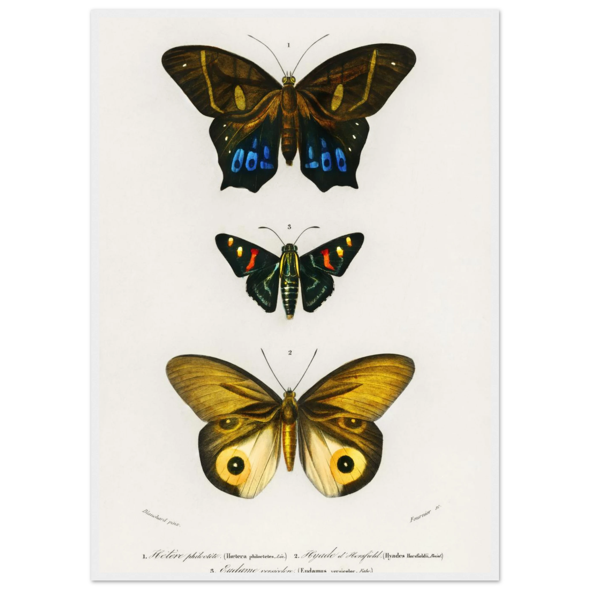 8ef4445a-dac1-4cd8-b1d2-a79f4c4ed5c6