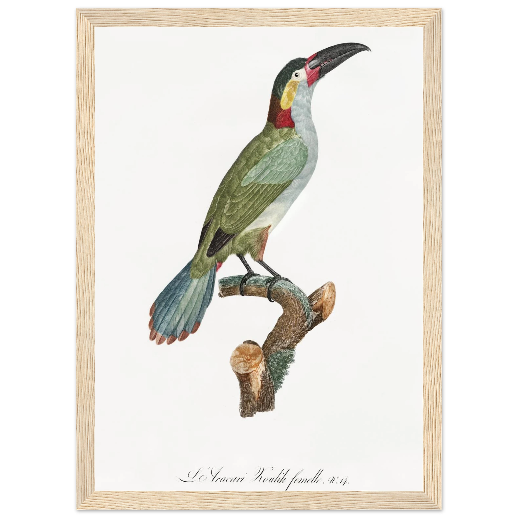 8f00e6c2-0086-433c-a708-33fd1fbab487