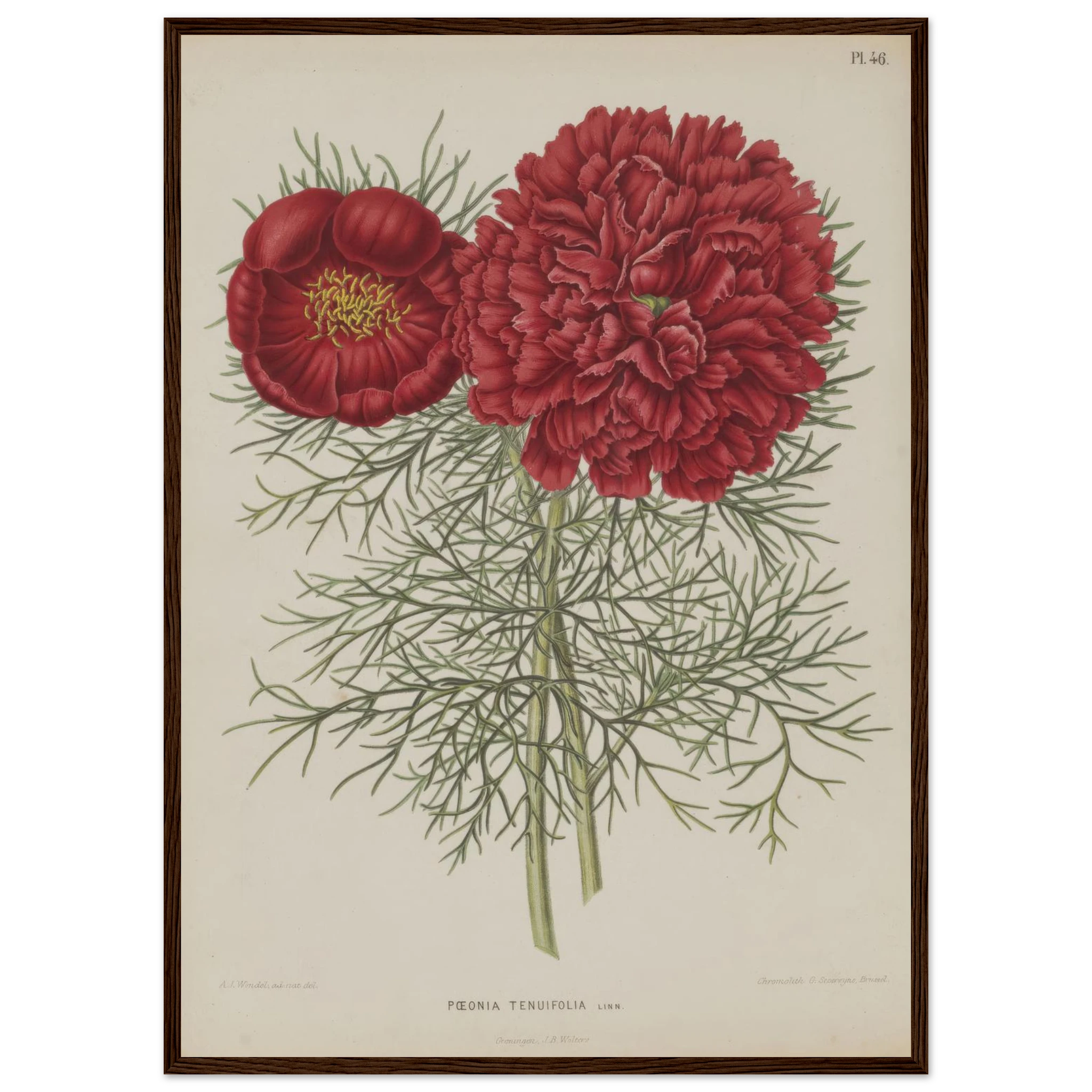 8f311dbf-7251-4ae7-a243-66894b71c4ec