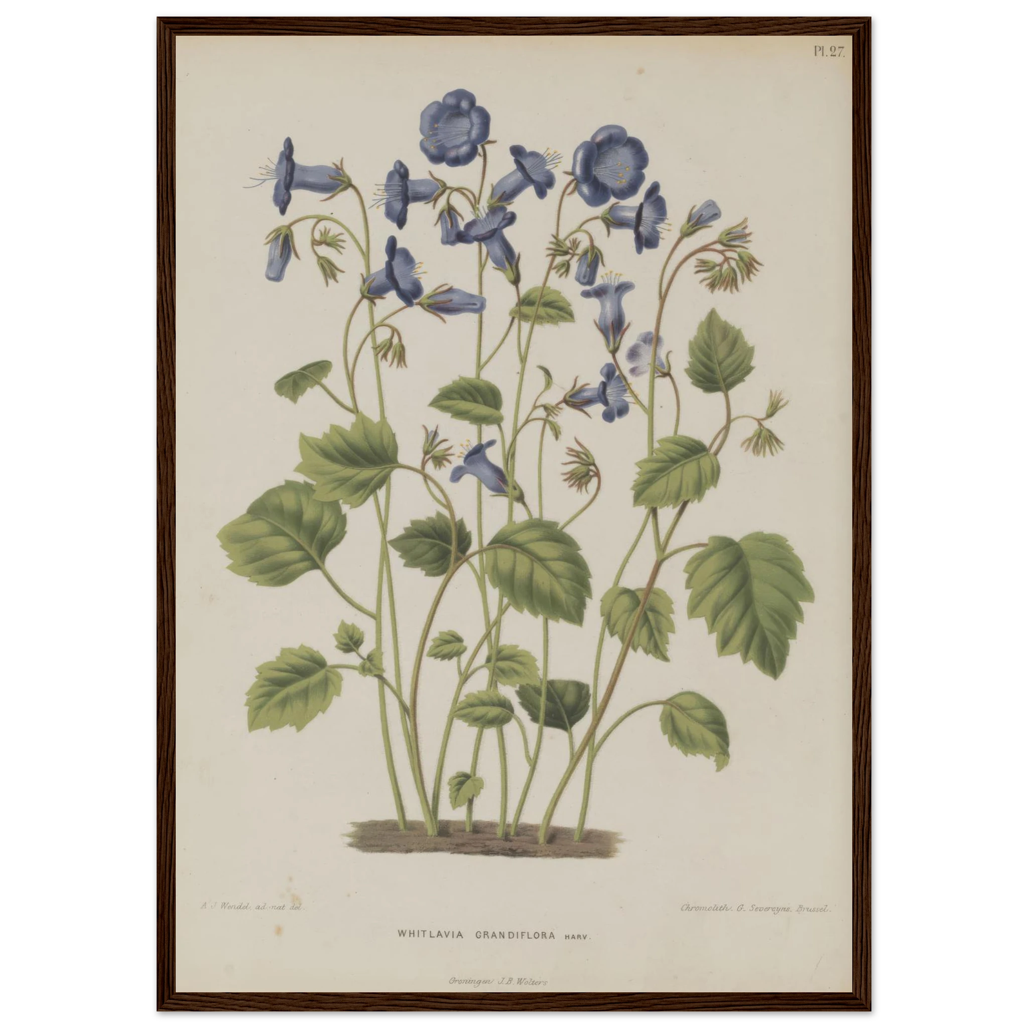 8f75d87d-3b13-40ac-8261-578c82ad8232