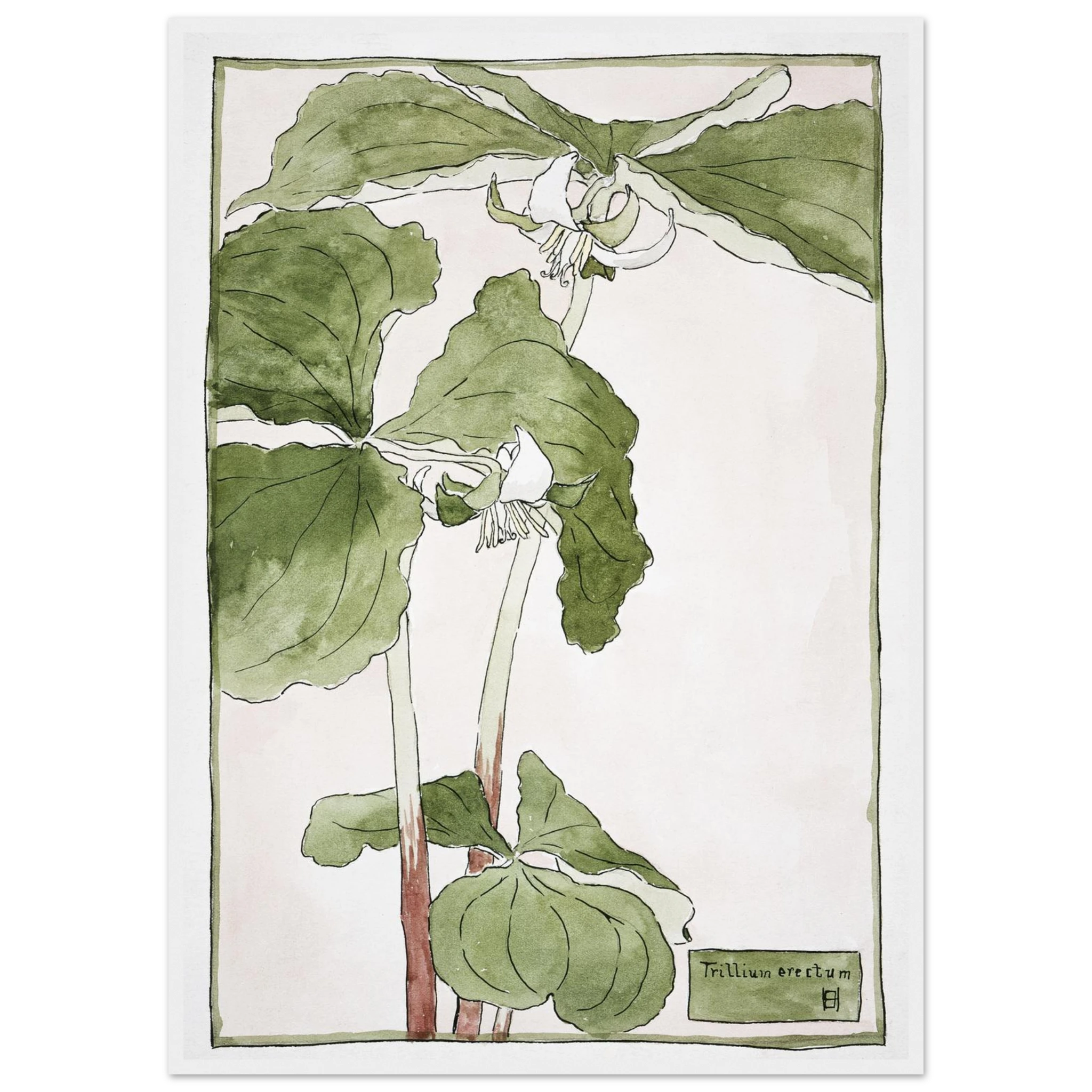 8fb19d75-0ec6-4eb3-a250-d477fc9092e5