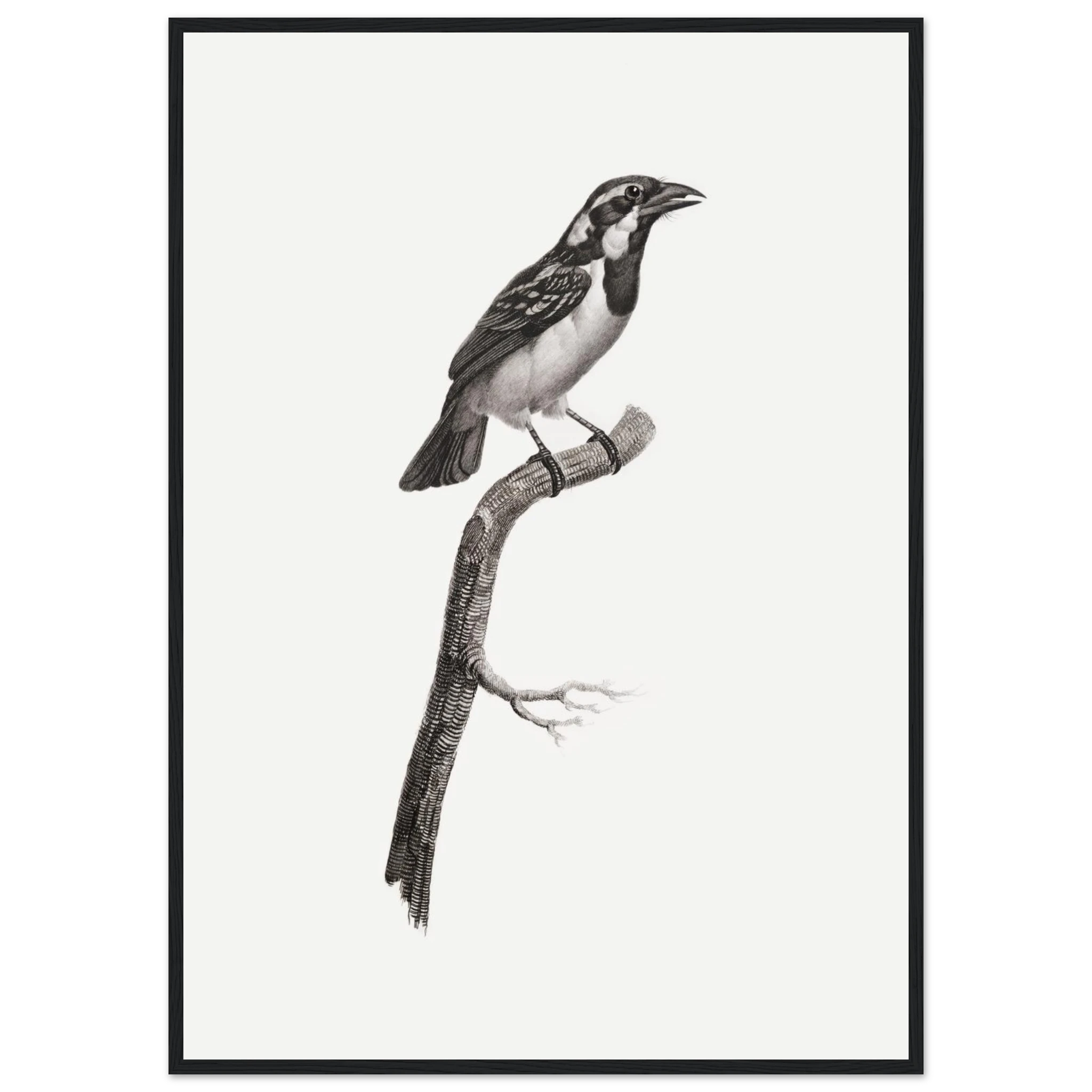 8fc683e7-6ffe-48cb-b690-b199b1c56ed6