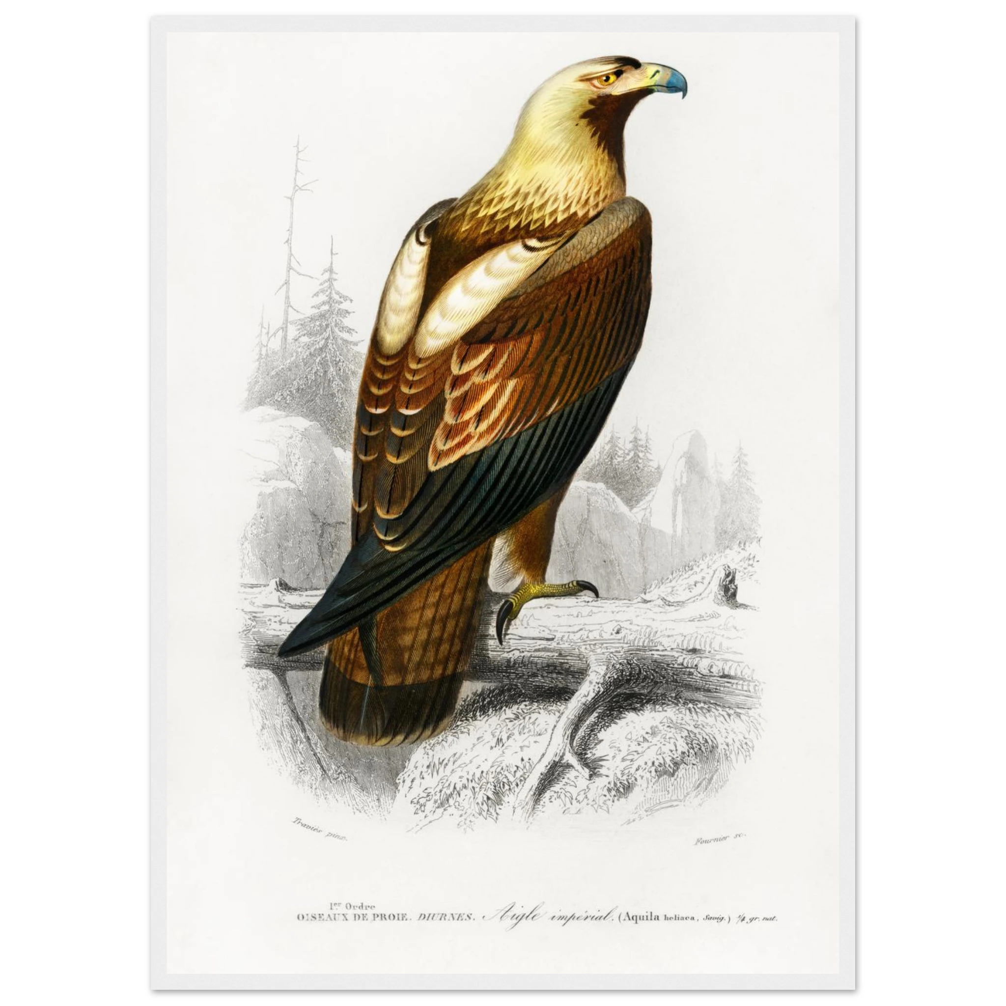 8fd59993-c8a0-4e2b-8bcf-7c3ab7092708