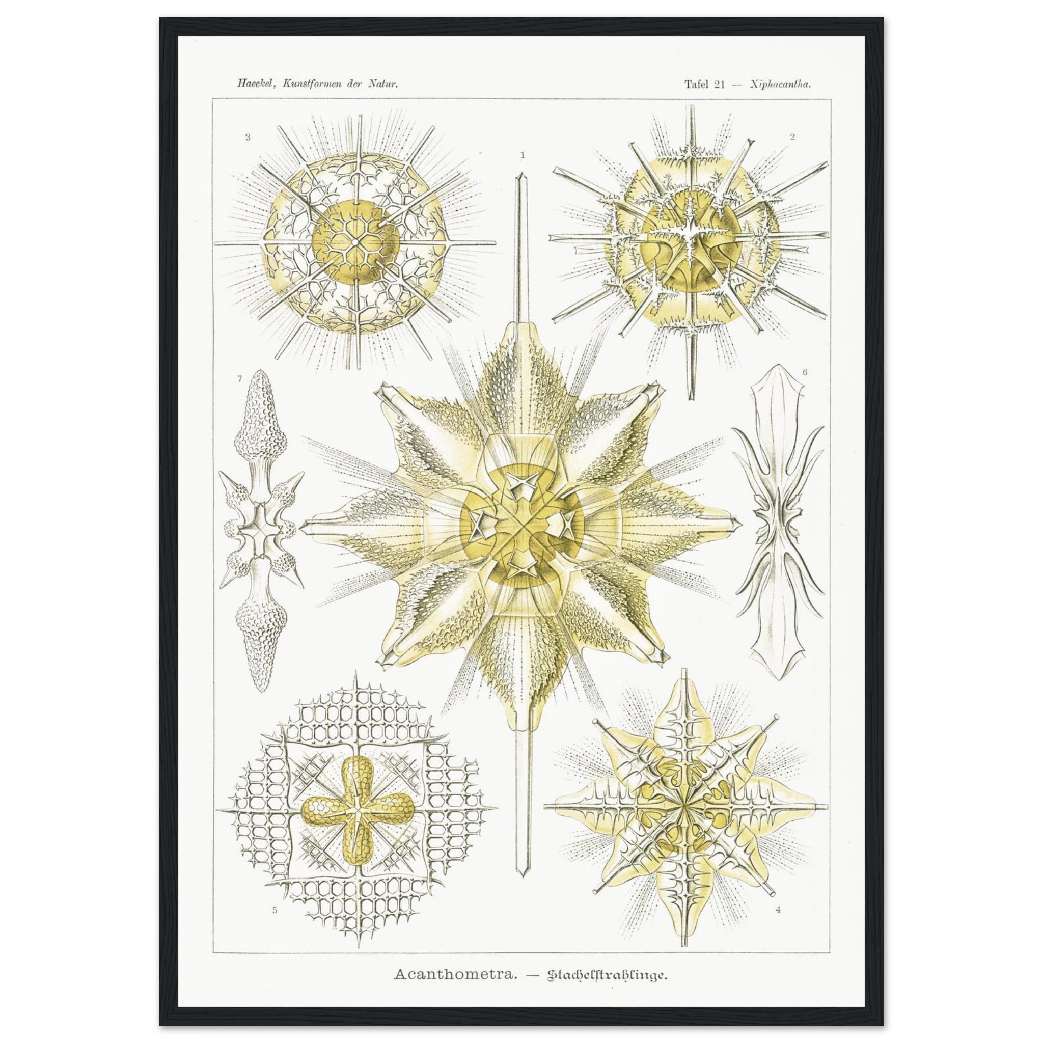 904da820-aca2-44d8-838f-70e1b3f3b77b