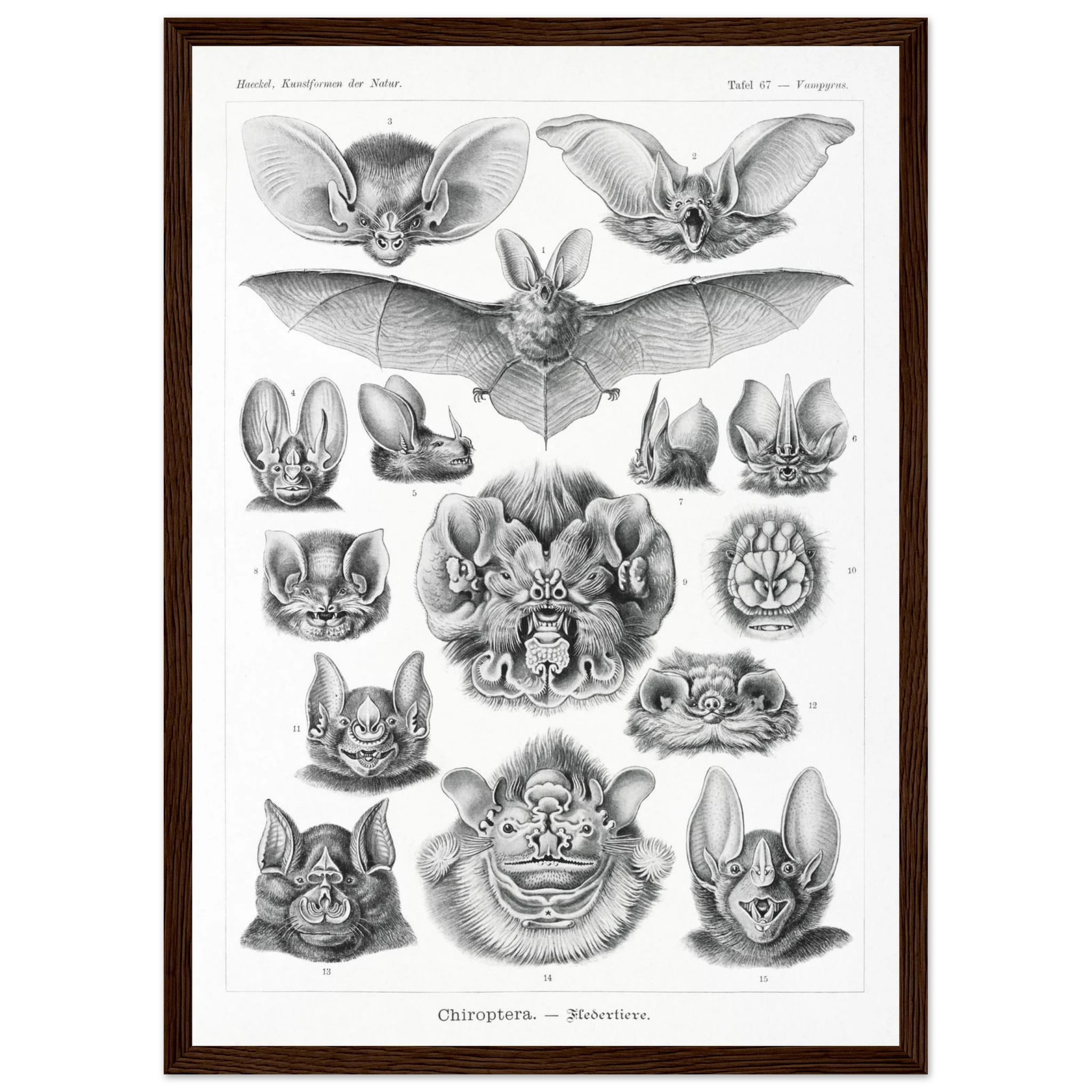 906e9422-6e55-4632-be57-90112bc36a68