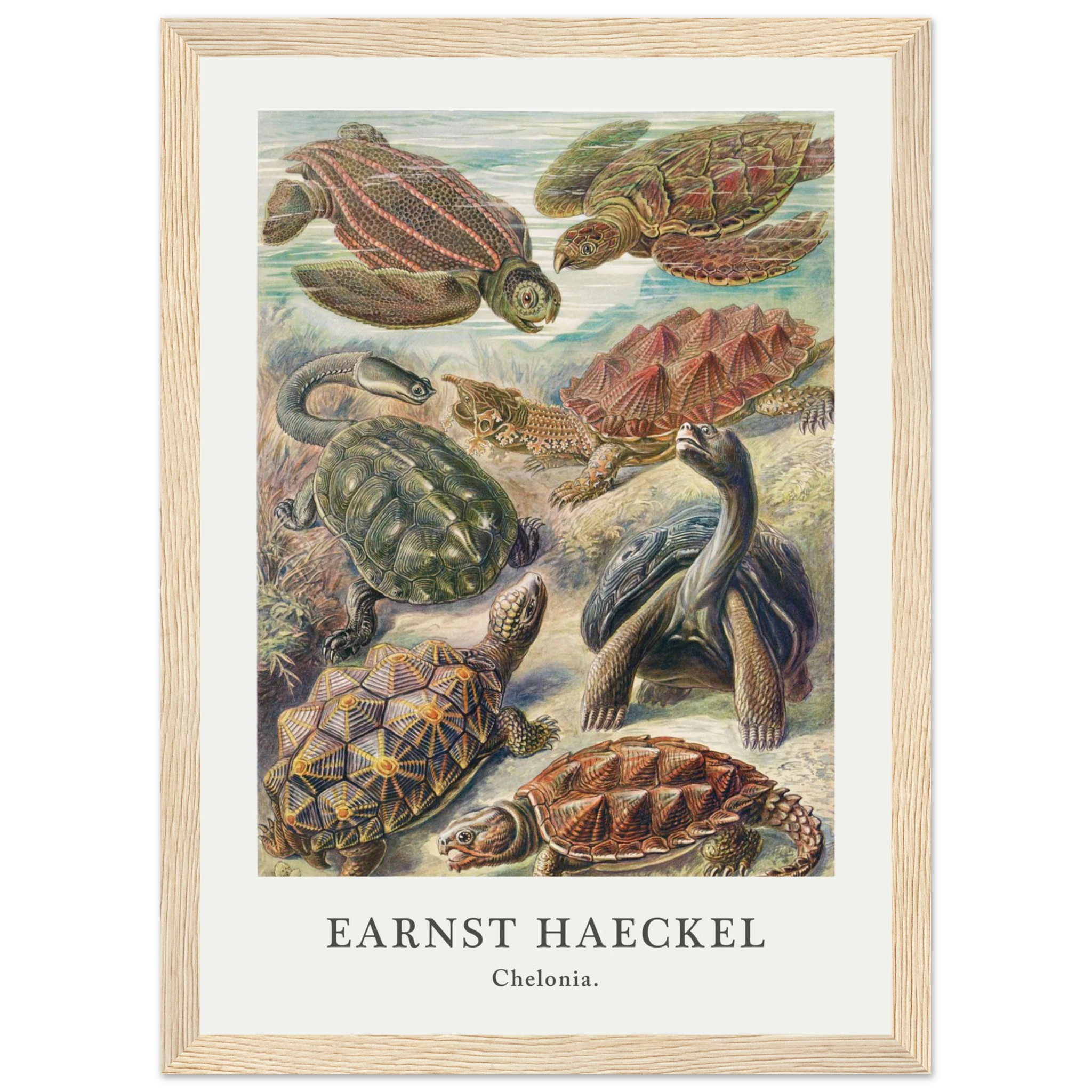 90b43cf1-088f-4174-b40a-26818484e9c6