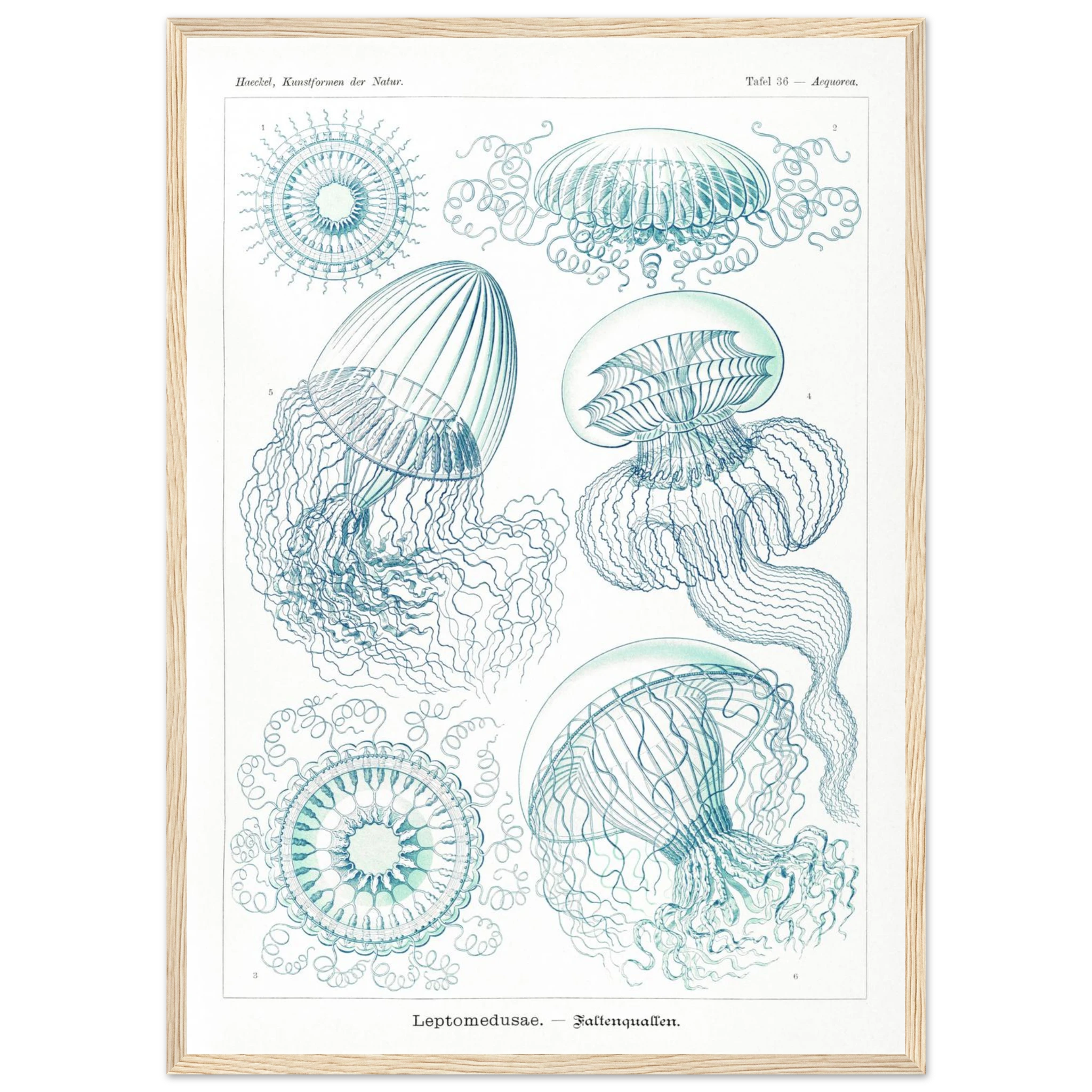 90de1c2e-0363-467b-a539-ed1e4b69e474