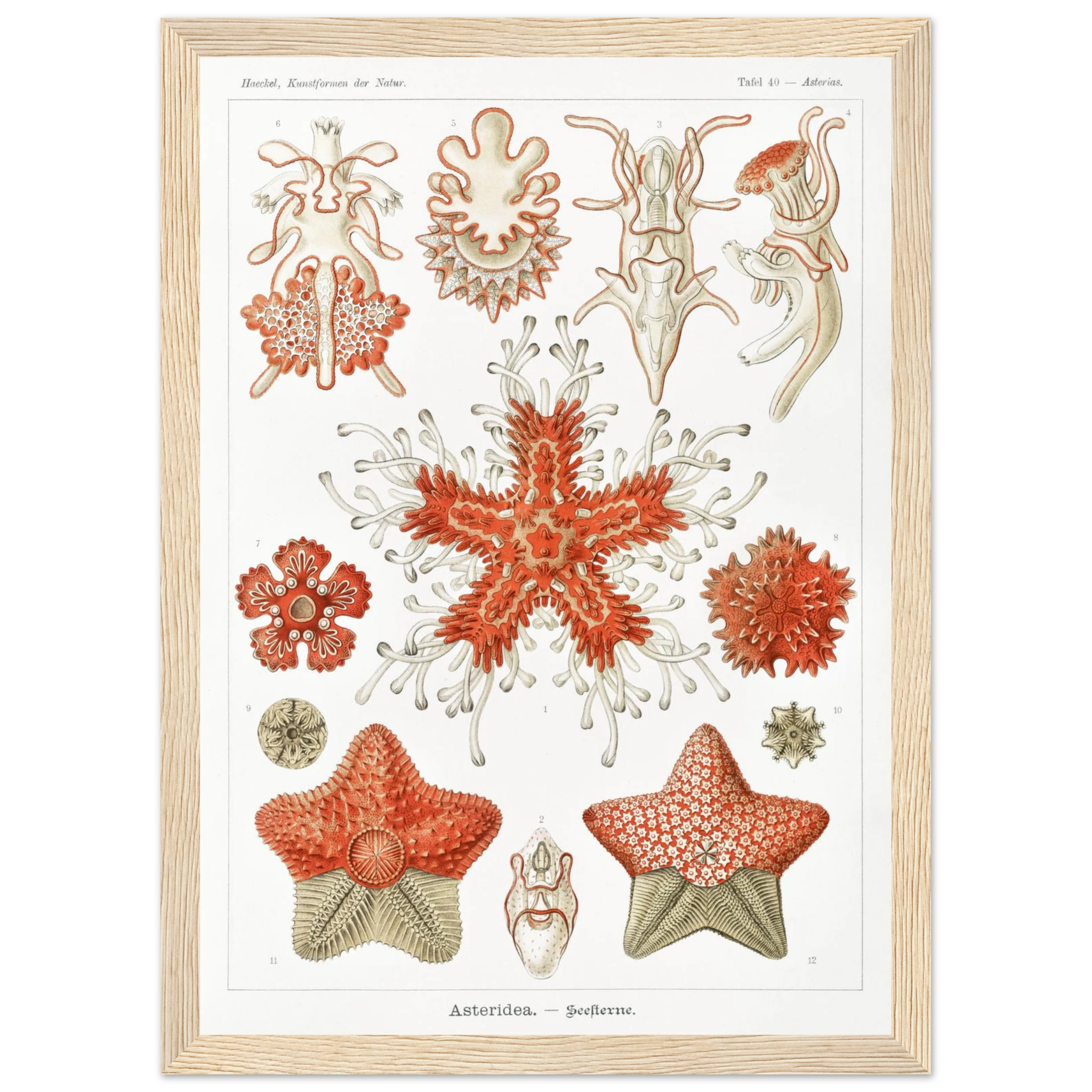 918705ea-9715-4427-8fb0-a0655dfa7e43