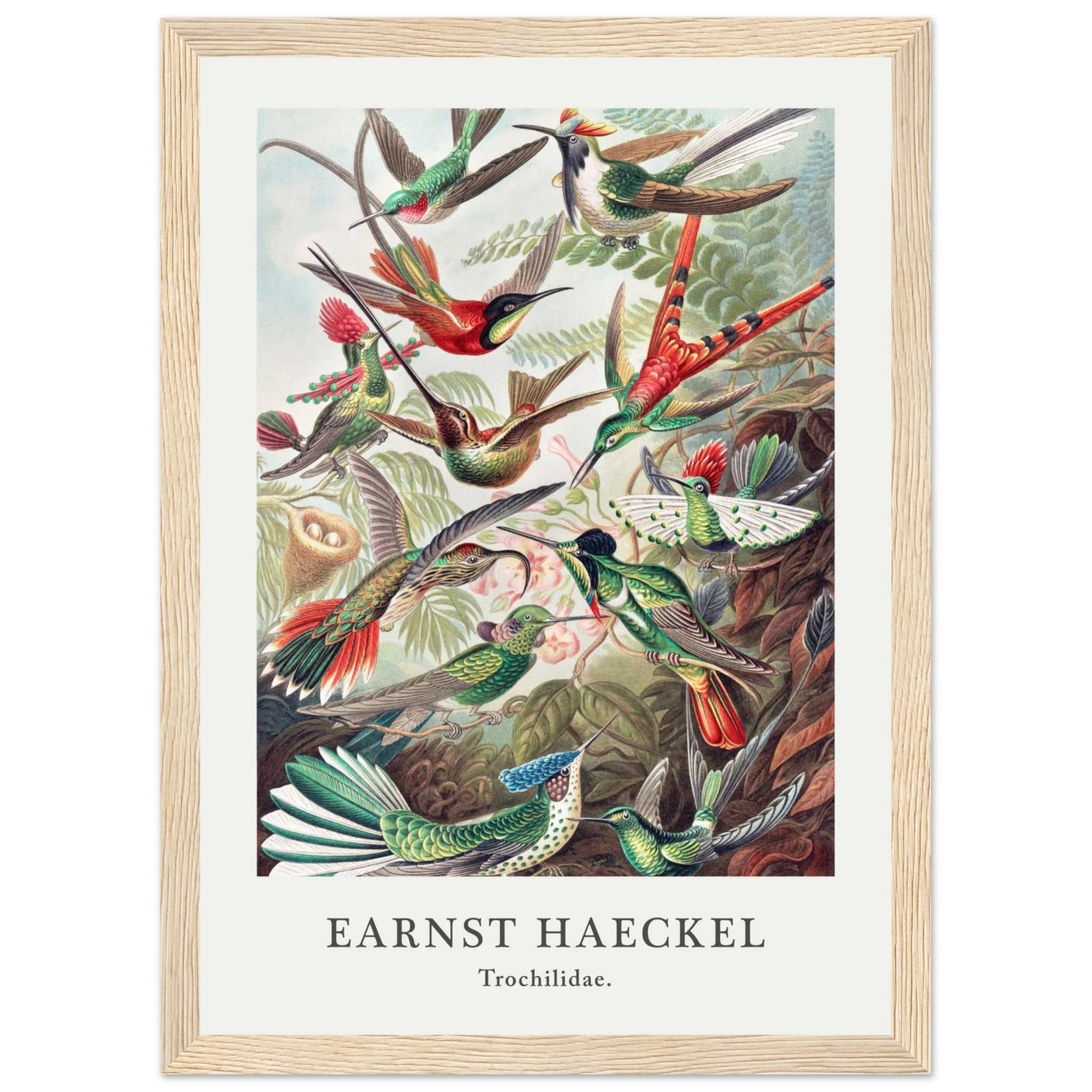 9199ffb4-98ed-4aee-af79-57f55670d47f