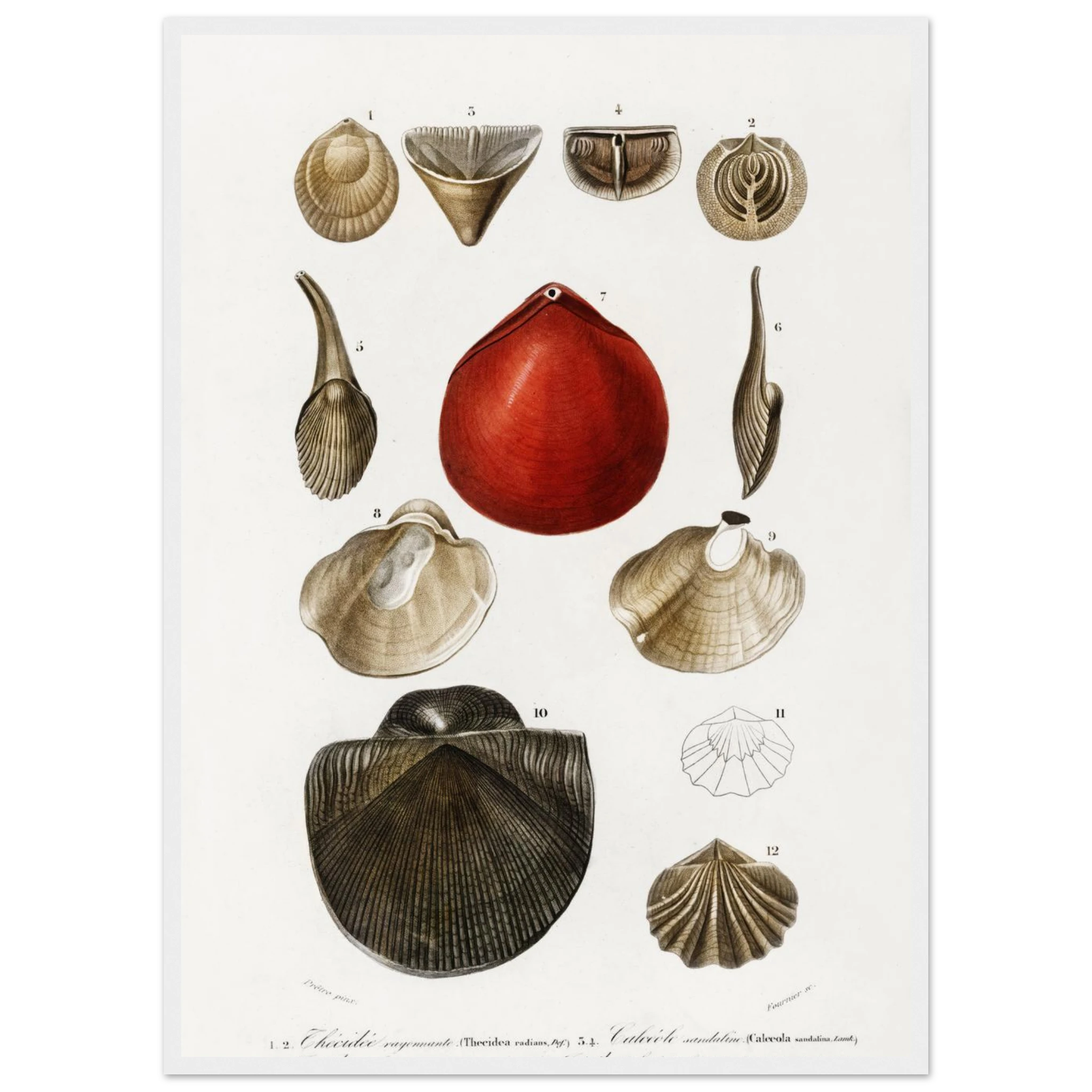 919de7e0-edc3-4730-b4f2-e5679a3cfe16