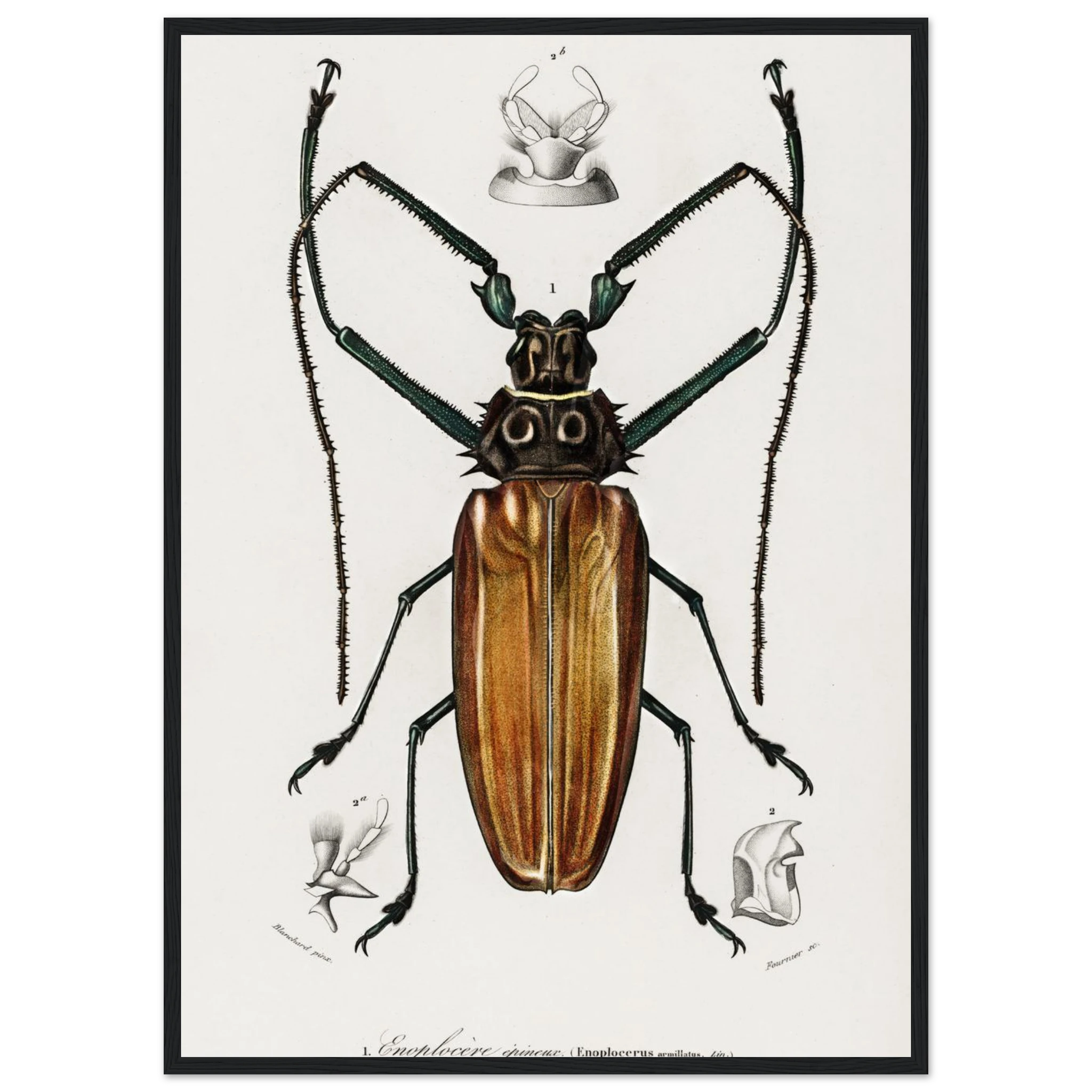 91a61cca-48b8-4933-aed5-f0b01f46f52c