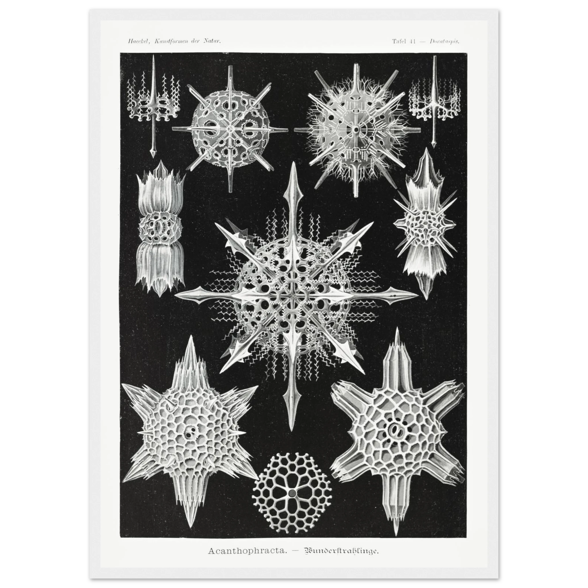 91e01ea3-0daa-483d-be6b-43450968cc0f