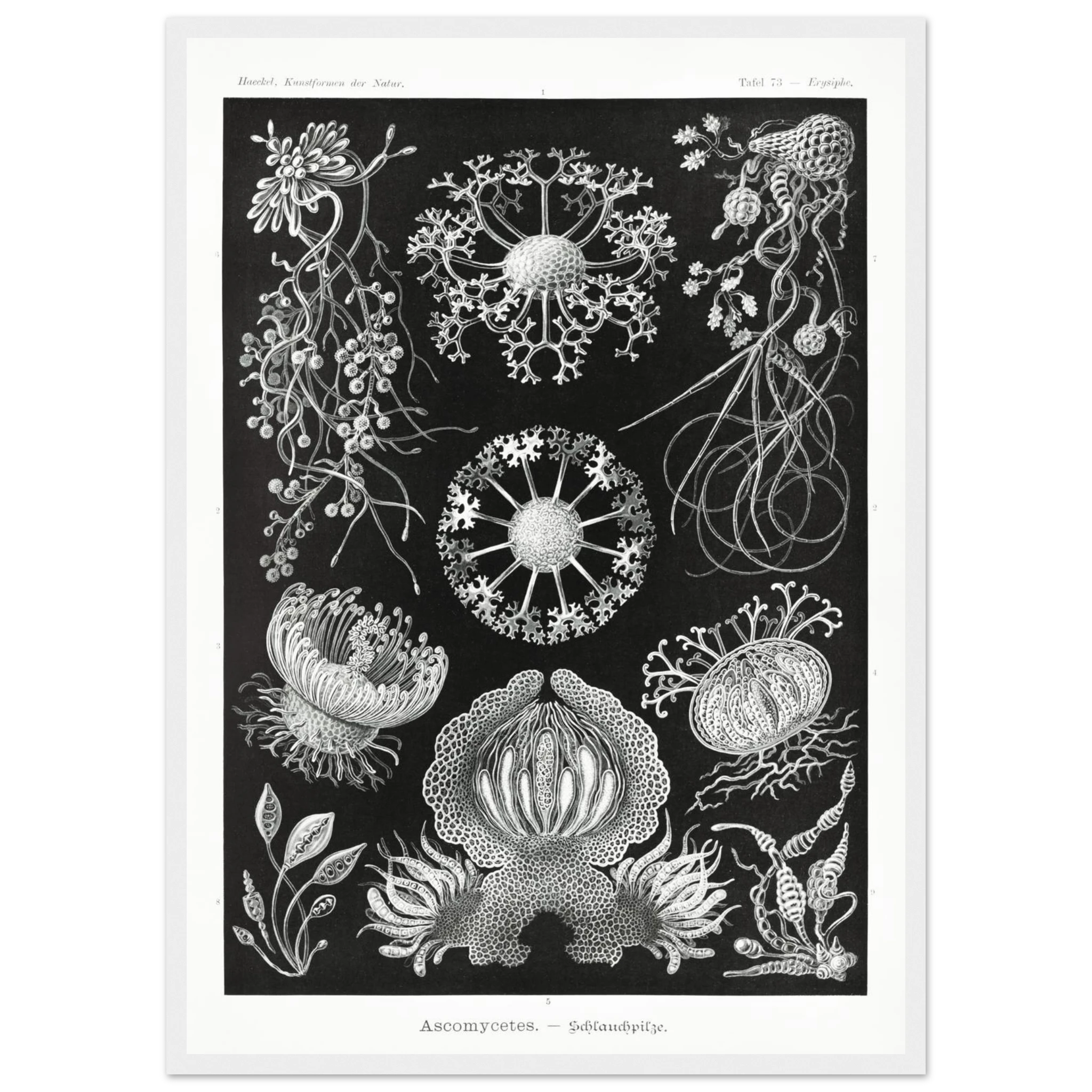 91f45f2e-d808-4572-ba74-2103790909c8