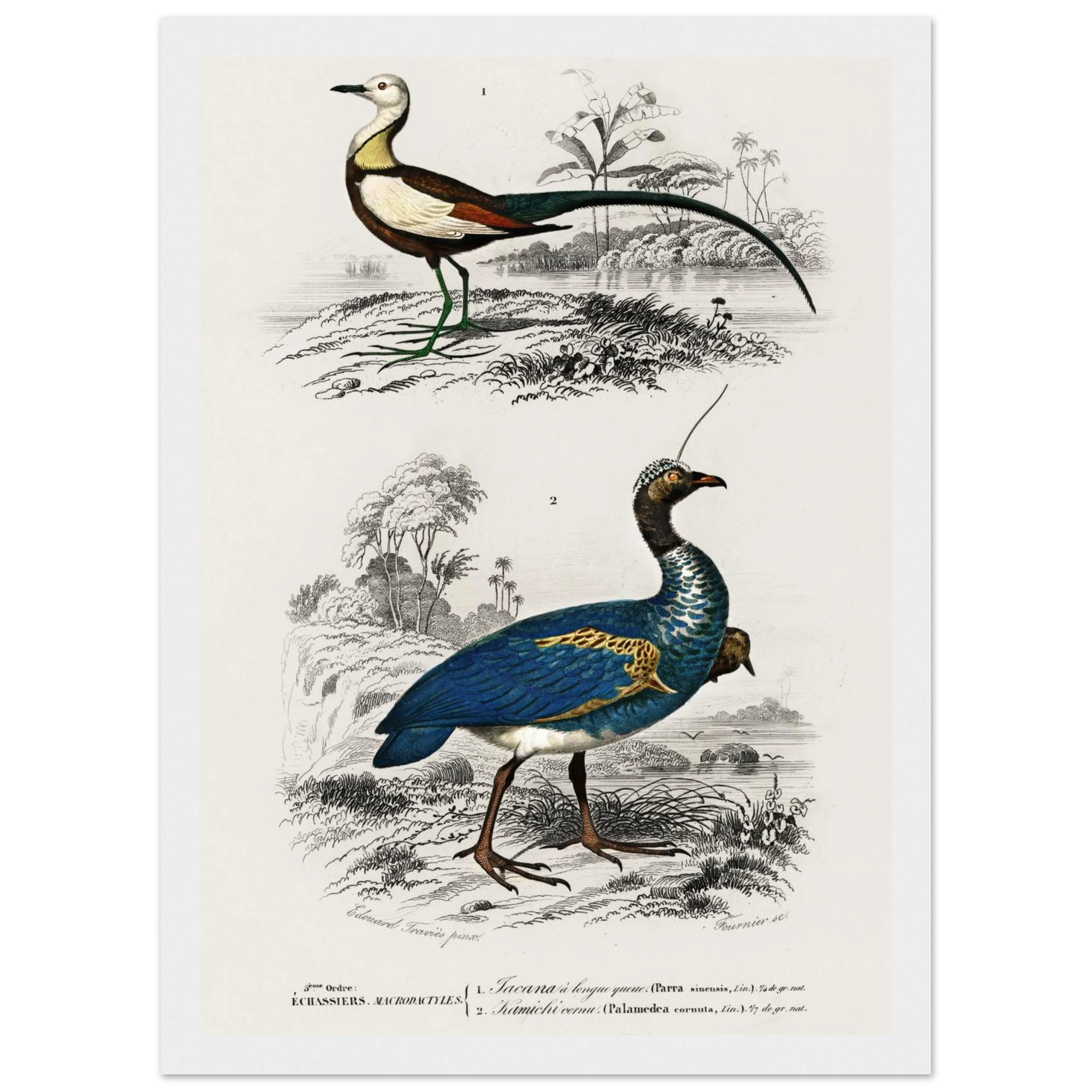 921569ce-e464-48a5-b716-c42d8a3ec9b0