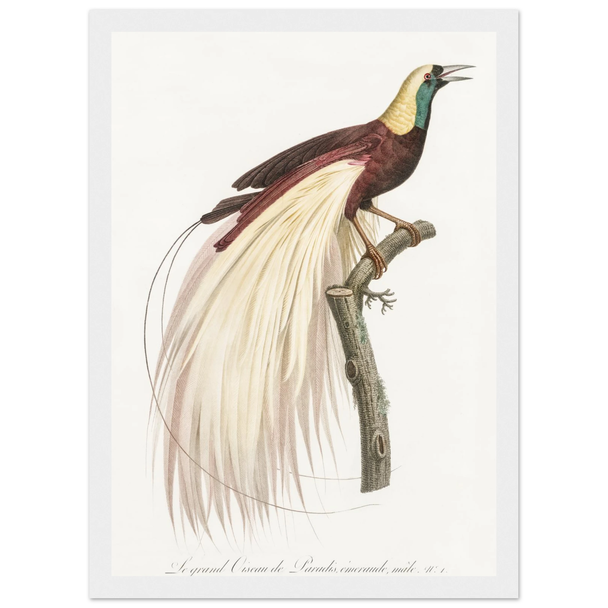 9218ef14-8d0a-450c-9dce-2a454501129e