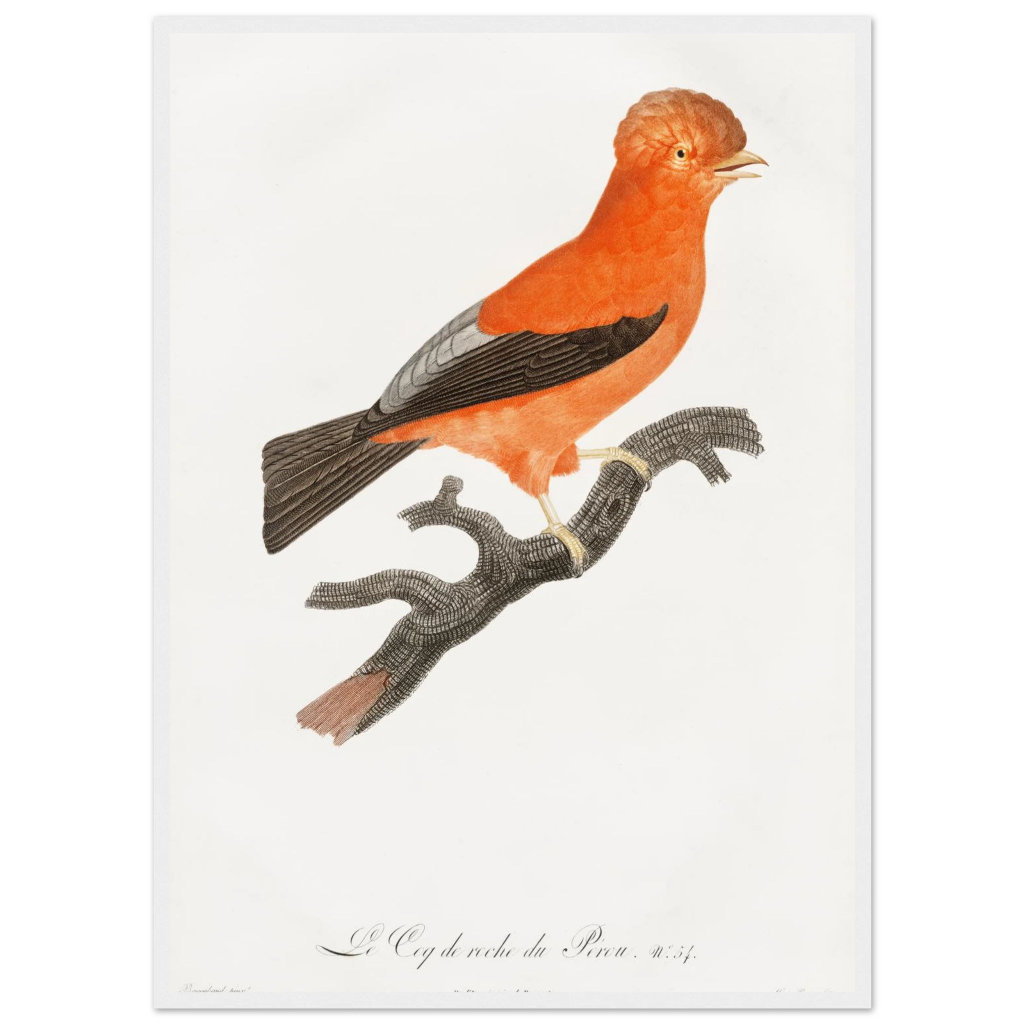 9233cbbe-7c09-43ad-baa7-ec28127ac9fc