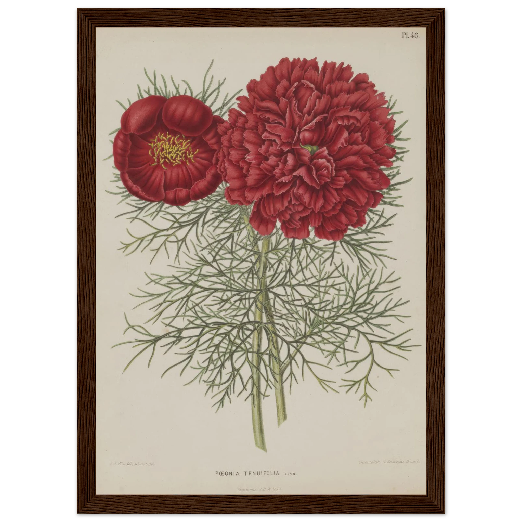 924d447b-d0b5-40c2-9d25-b447c440215f