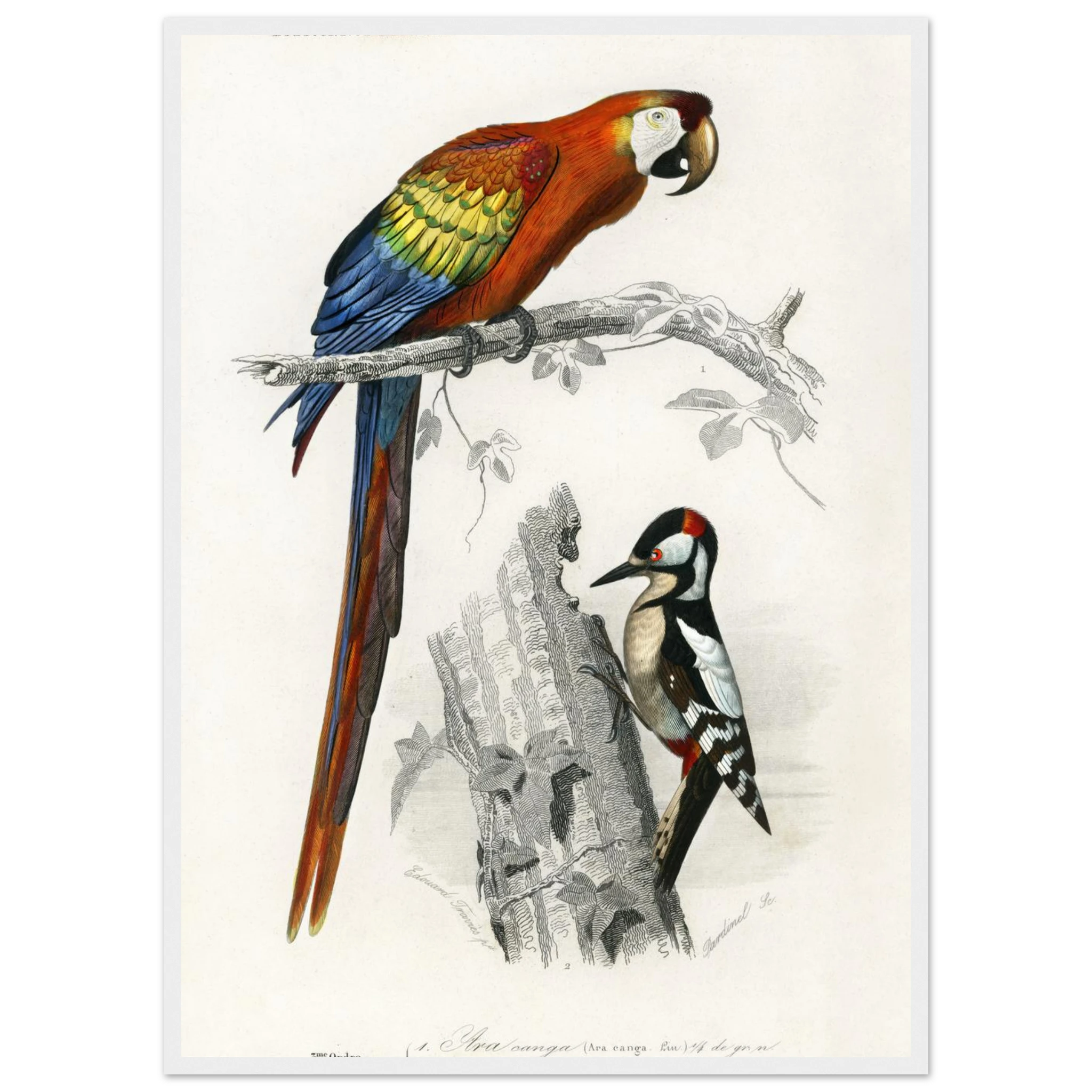 926b9310-a575-43bb-94b8-323aa9a98059