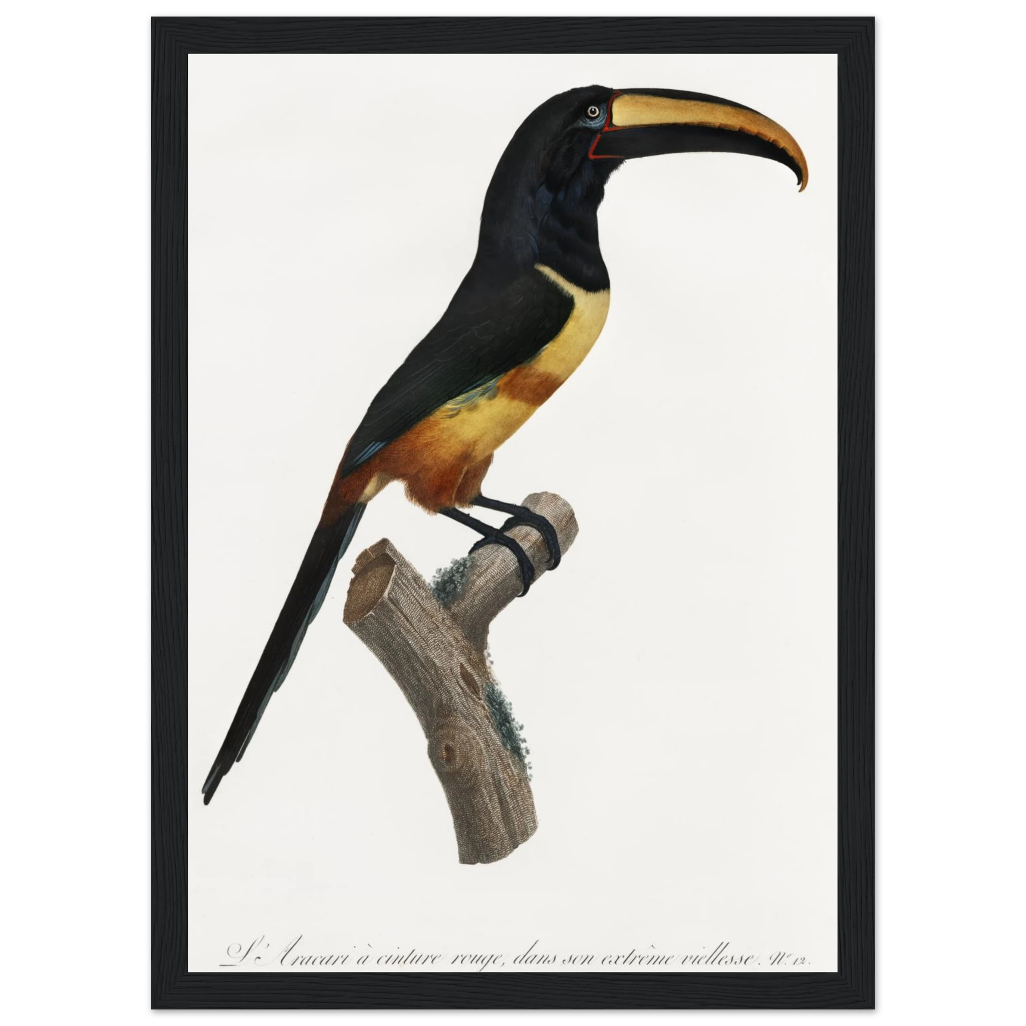 92b62f26-9658-45b1-ac23-16148b68349b