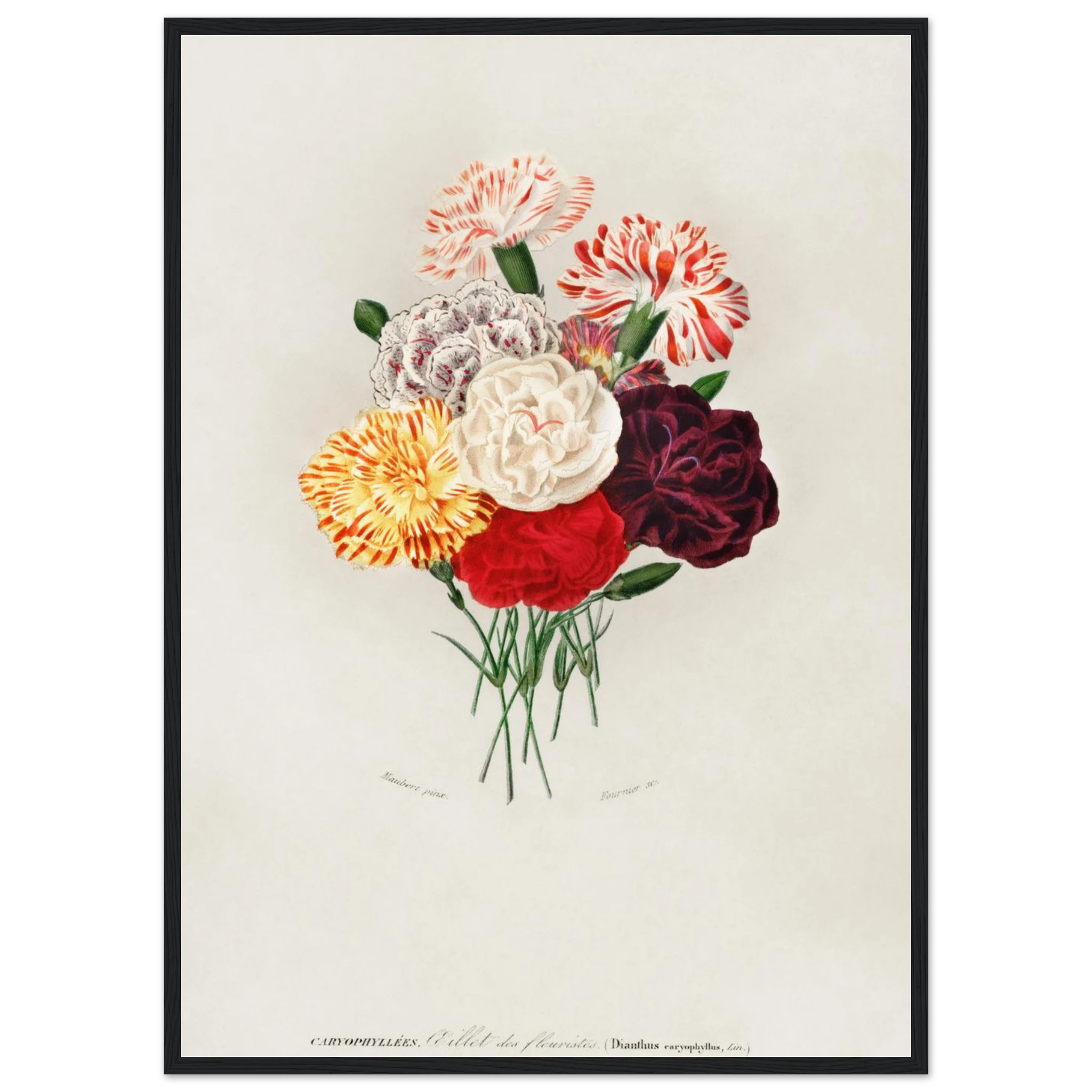 92e26565-3c4d-4304-9fa9-bbbe83500a7e