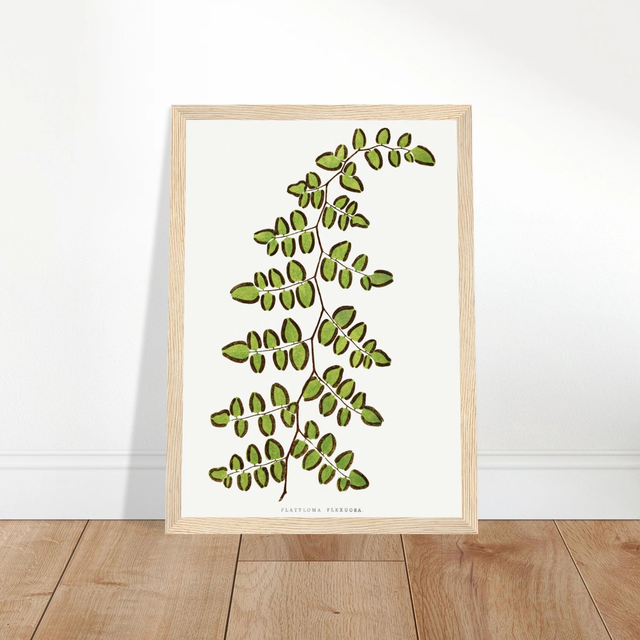 93519f2f-365d-43ee-bbfc-2b26968cca8b