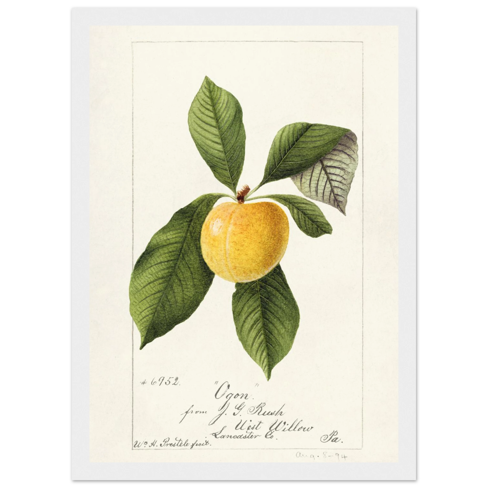 9389057d-b170-4dff-9d5f-6a8404f09f38