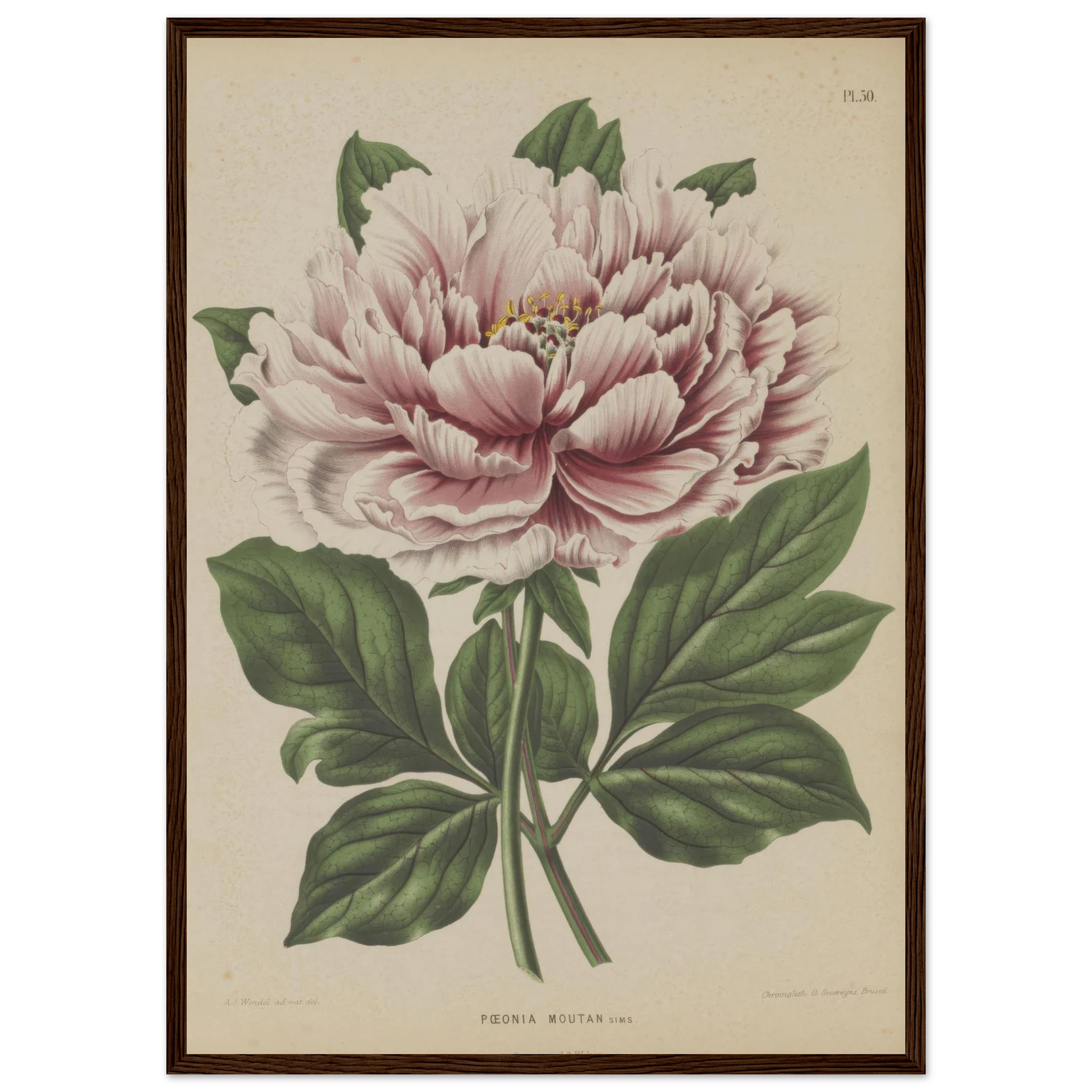 9404a0b2-830c-4089-b219-f77a9f6a0b9f