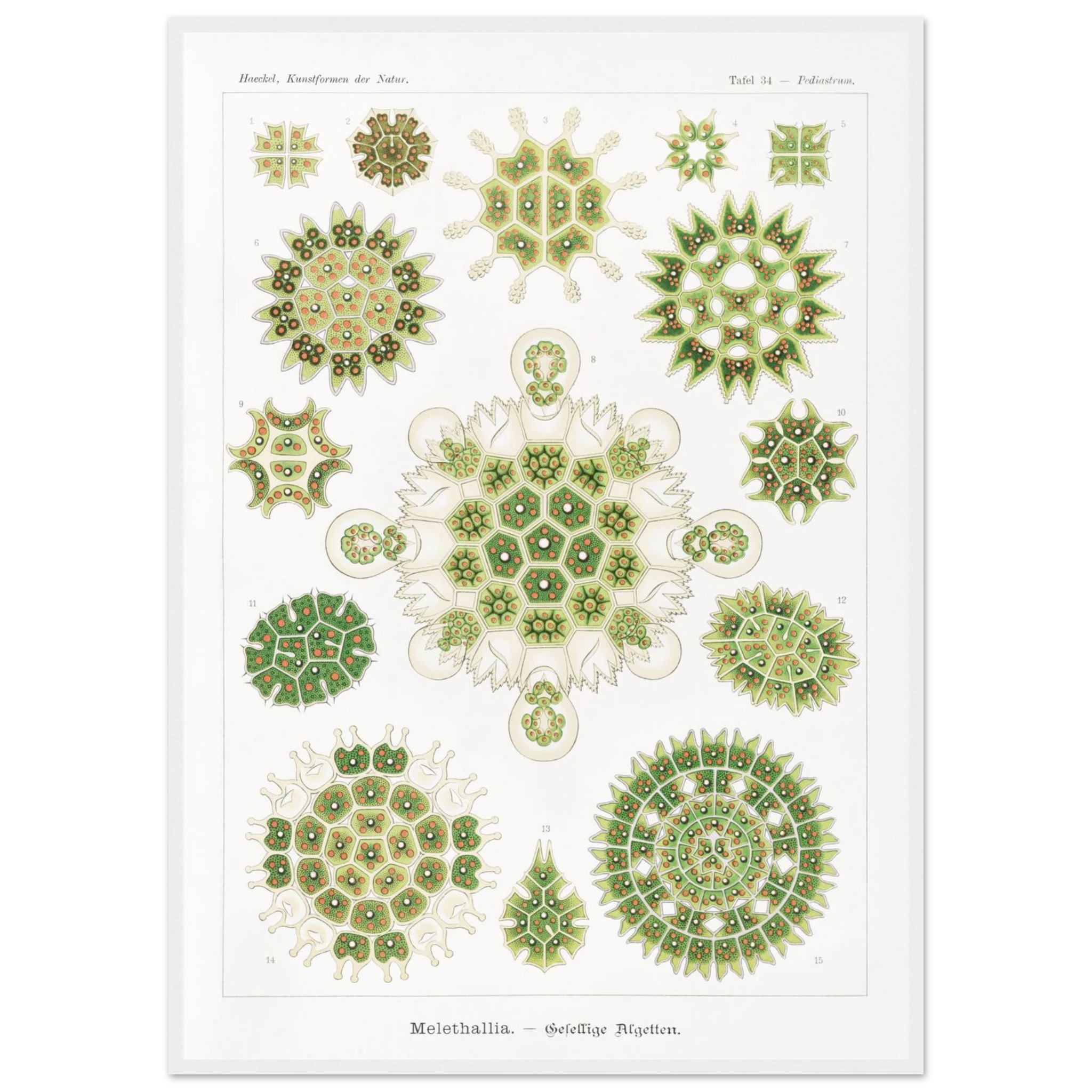 94906cc7-9a83-4167-8f52-4017d393aac6