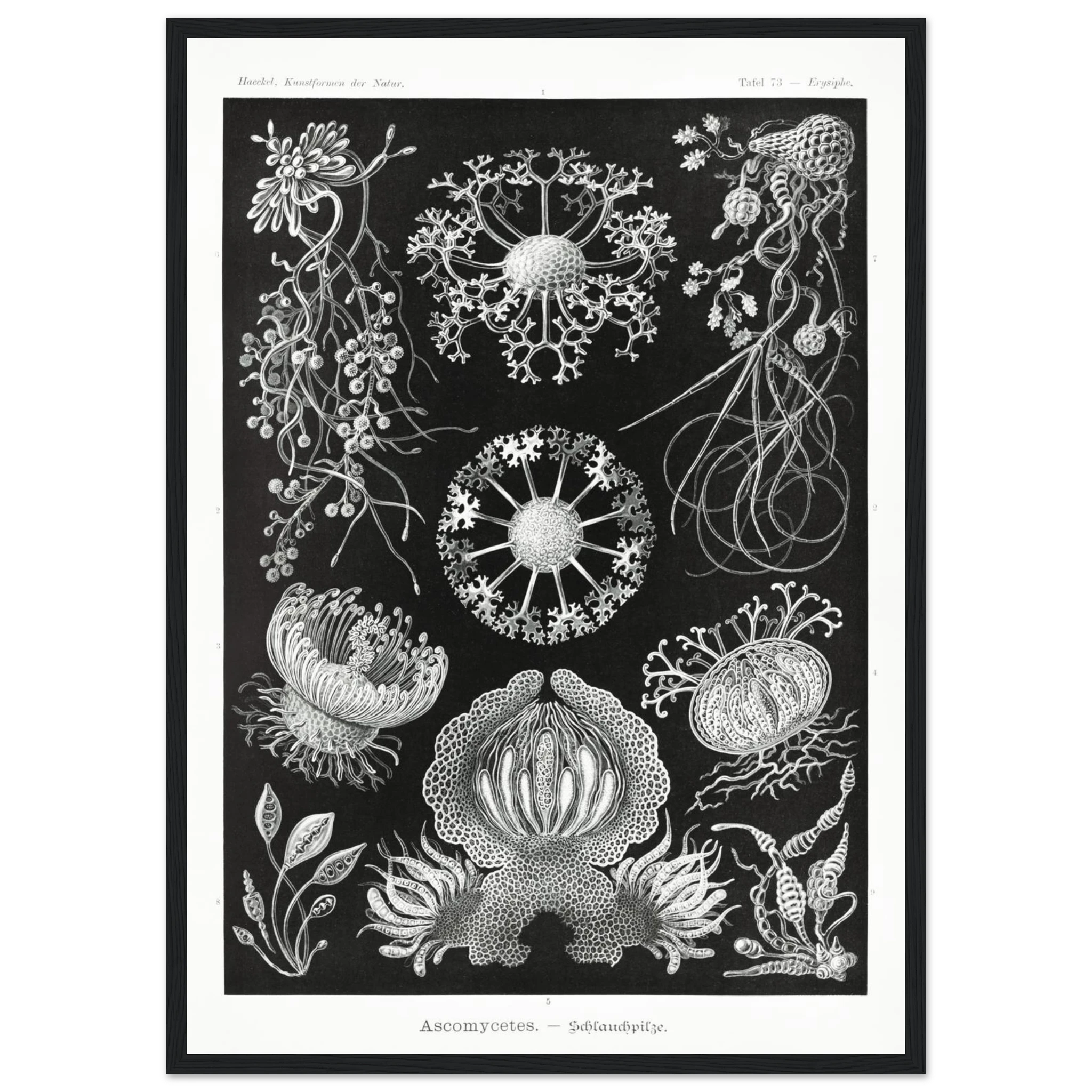 94abae92-d00b-4682-bbee-add0c86543d1