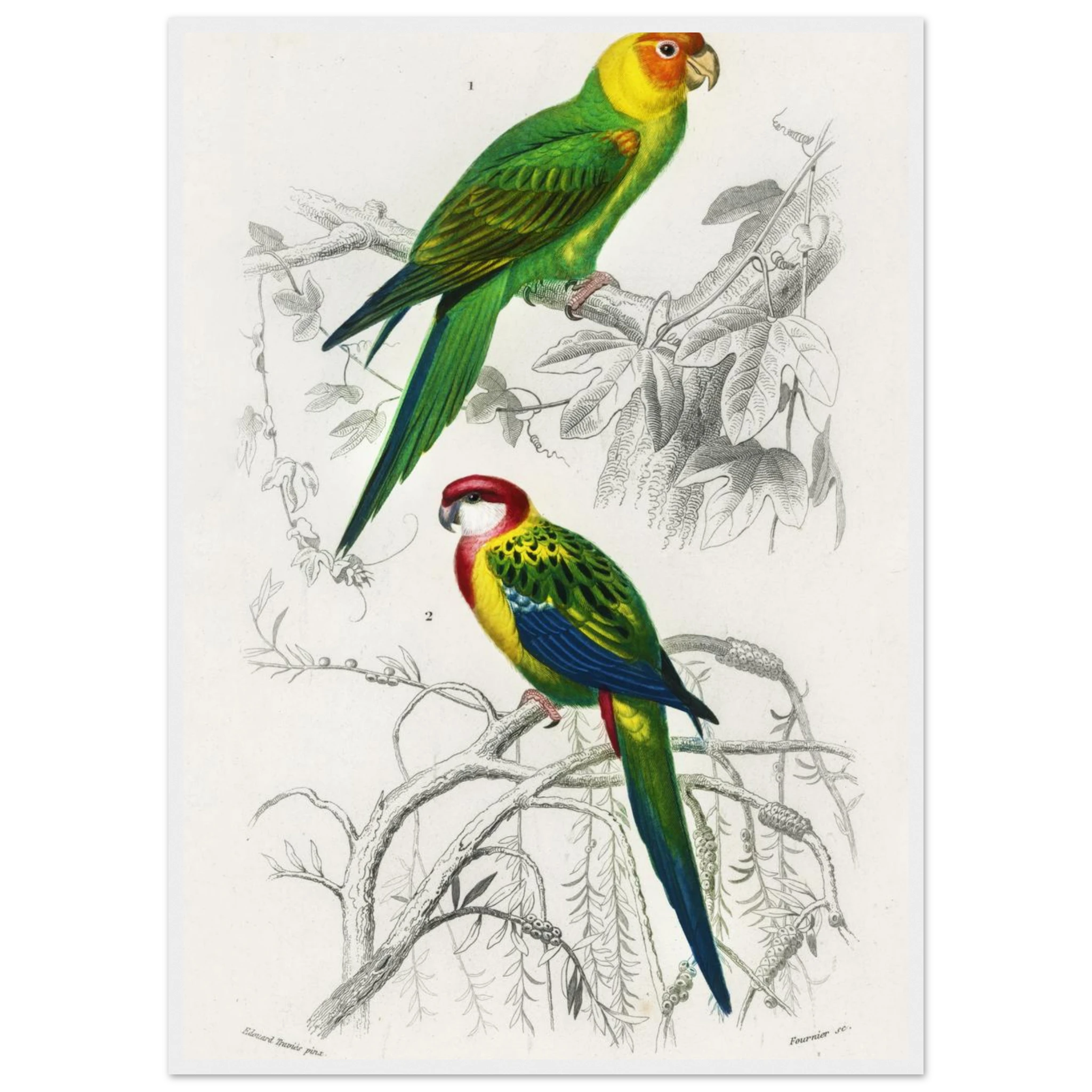 94bc7bc6-5128-41e5-b95f-596b7287e6f6