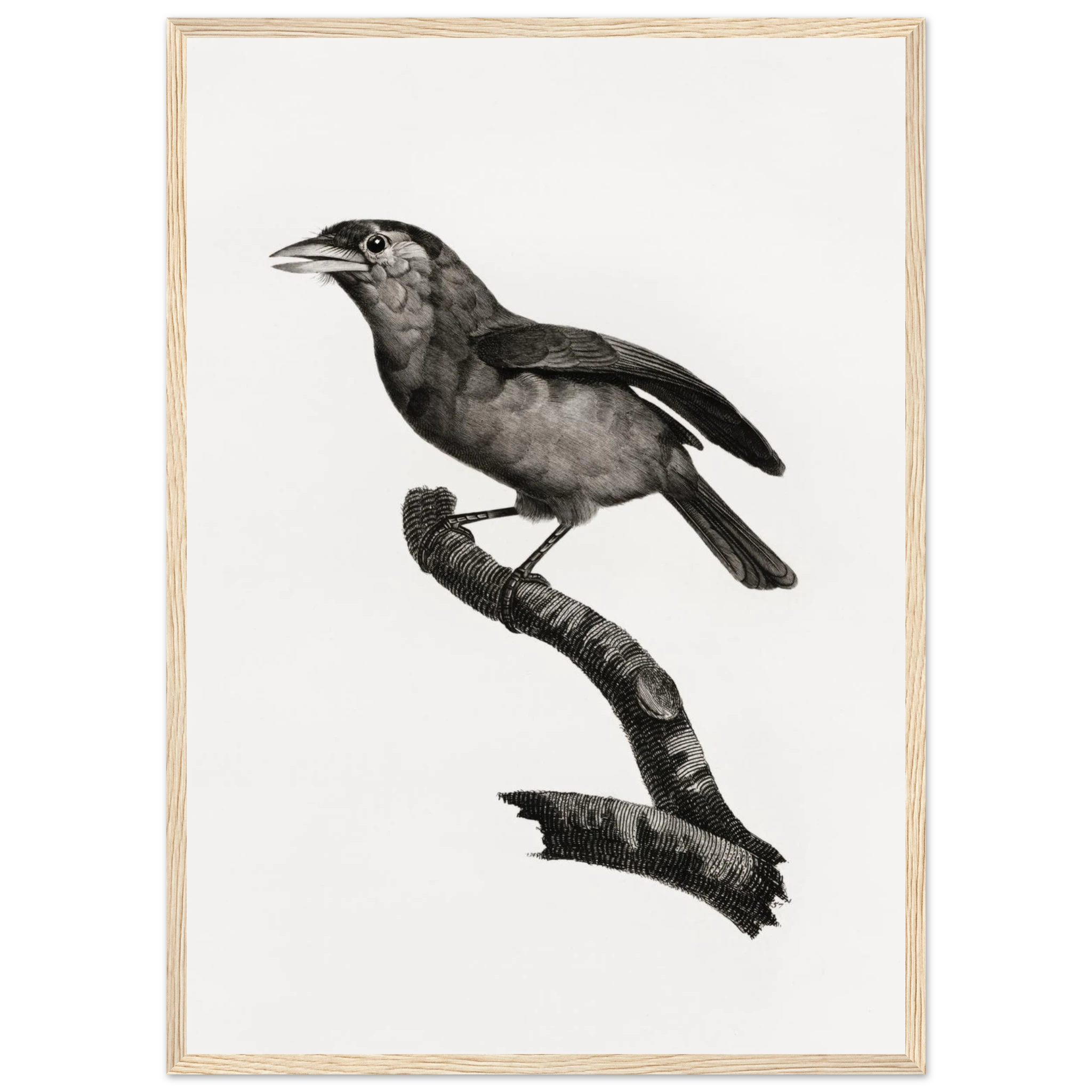 94e36f49-6d58-4add-bc86-dc271368244a