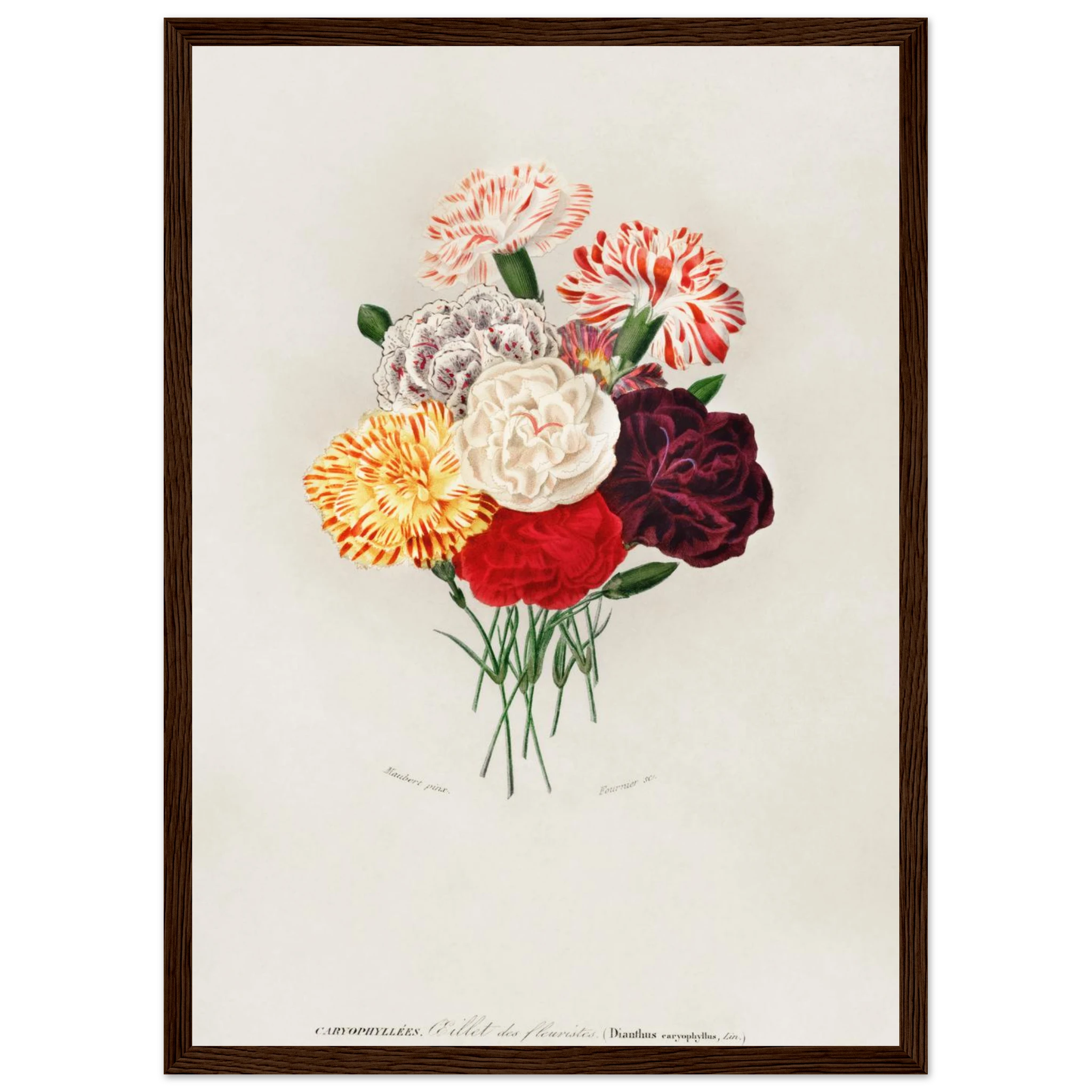 95159fa5-e4e6-44c8-9031-d1d92b8eb674