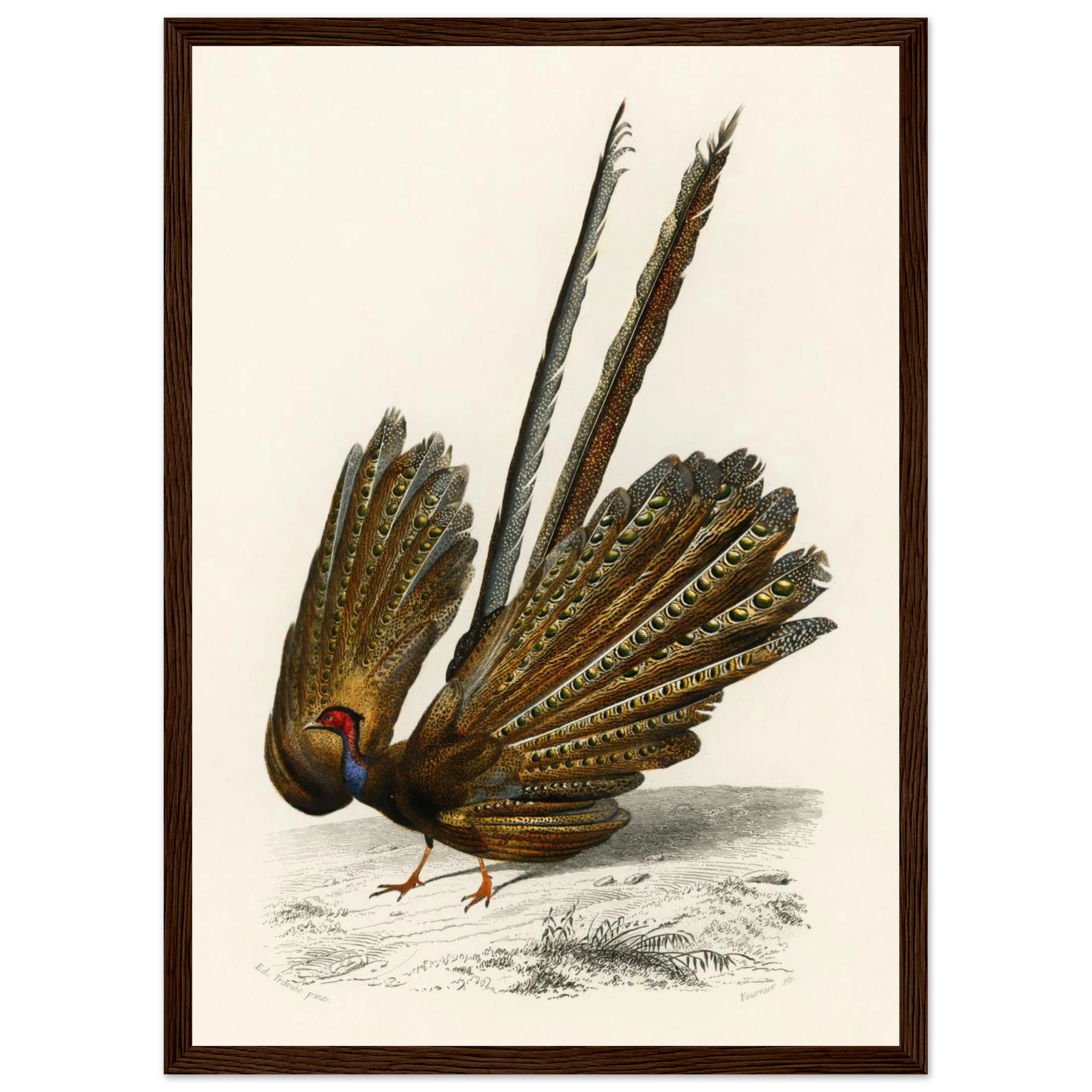 95ad4897-a7cd-4506-a136-ec4d66611065